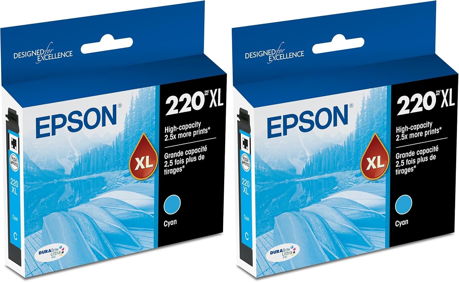Epson T220 DURABrite Ultra -Ink High Capacity Cyan -Cartridge (T220XL220-S) for Select Expression and Workforce Printers (Pack of 2)