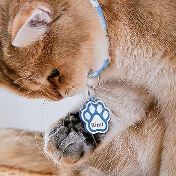 Medaglietta Cane Personalizzata | Consigliata Dai Veterinari - Foto 10