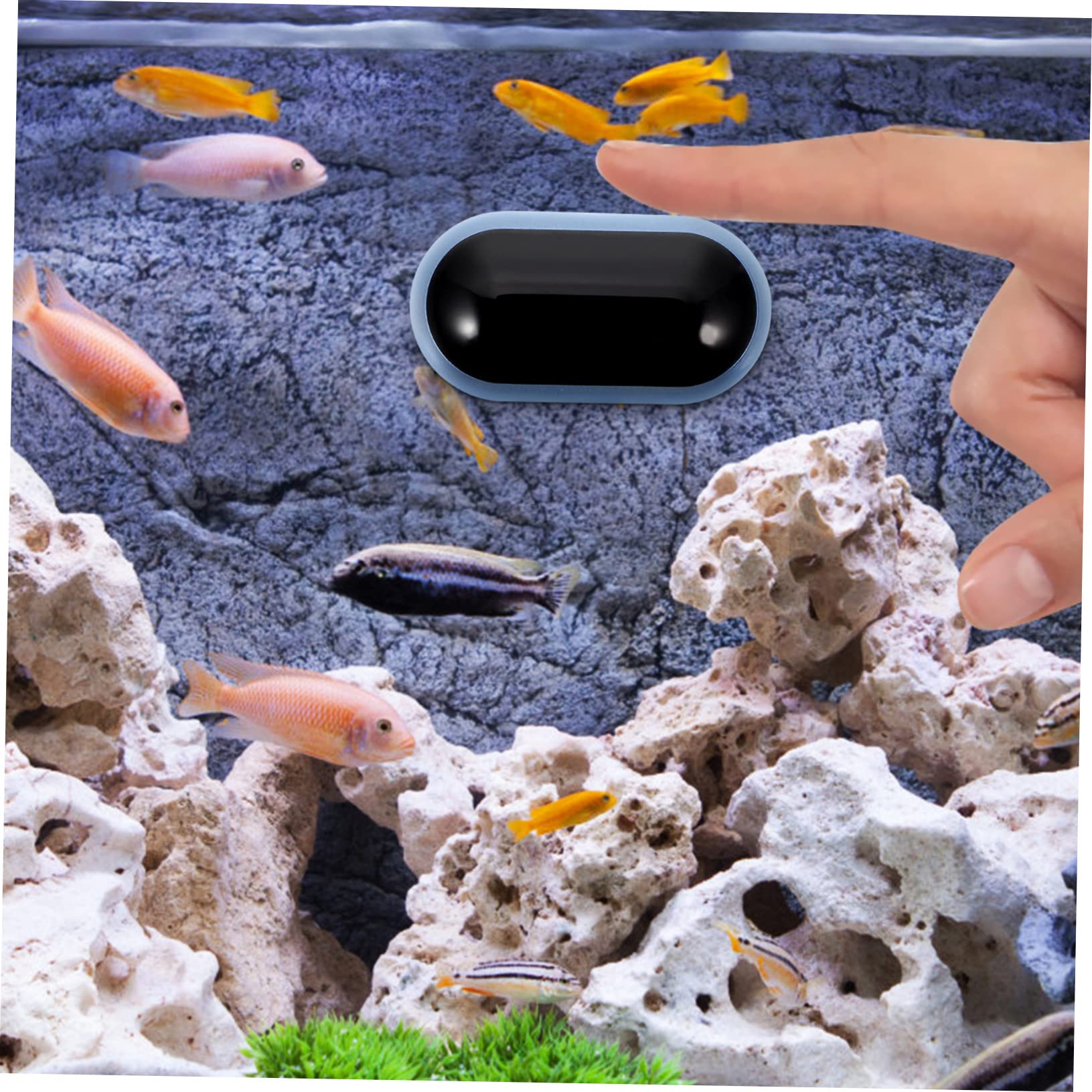 Happyyami 3St Aquarienthermometer Zubehör für Schildkrötenpanzer Fisch digitalthermometer digital digitales Thermometer temperaturanzeige für aquarium LED-Tanktemperatur klein