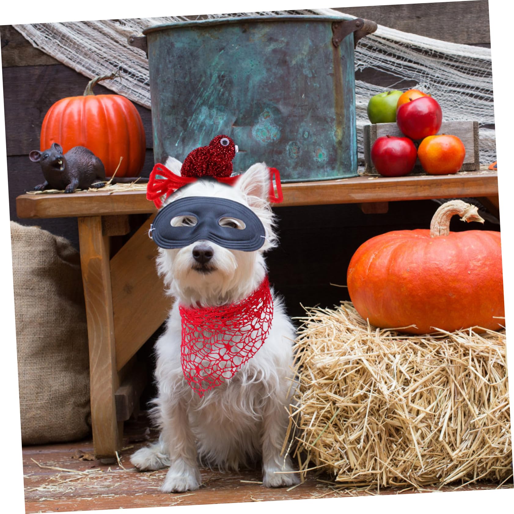 Toyvian 2pcs Bandana d'halloween pour Chien en Polyester Rouge Motifs Araignée et Spectre, Accessoires Confortables et Festifs pour Événement Trick-Or-Treating