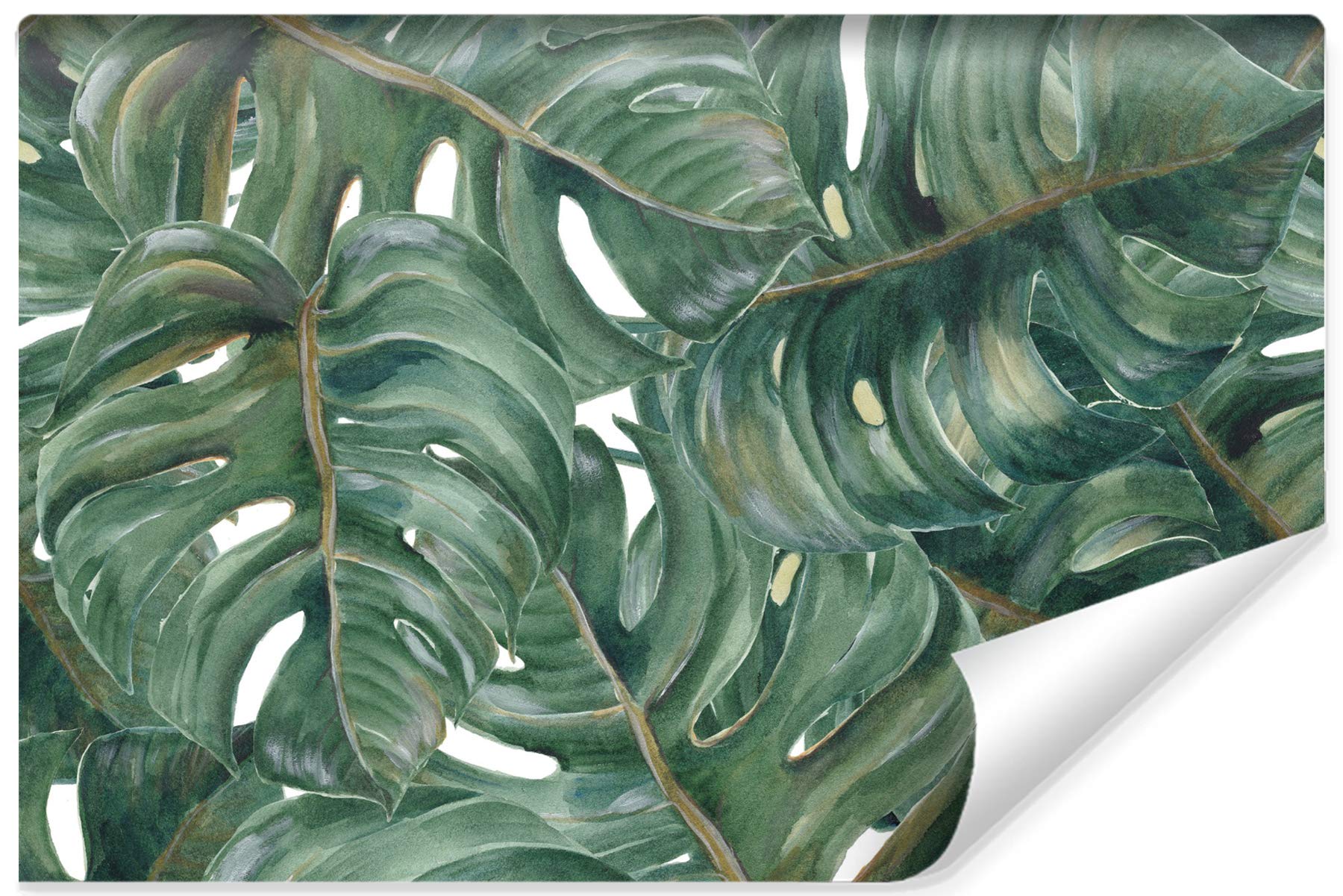Fototapeta z włókniny monstera, liście, naturalne rośliny, flora, 315 x 210 cm, nowoczesna tapeta XXL, dżungla, egzotyka, do salonu, sypialni, biura, korytarza, tapeta ścienna szer. 315 x wys. 210