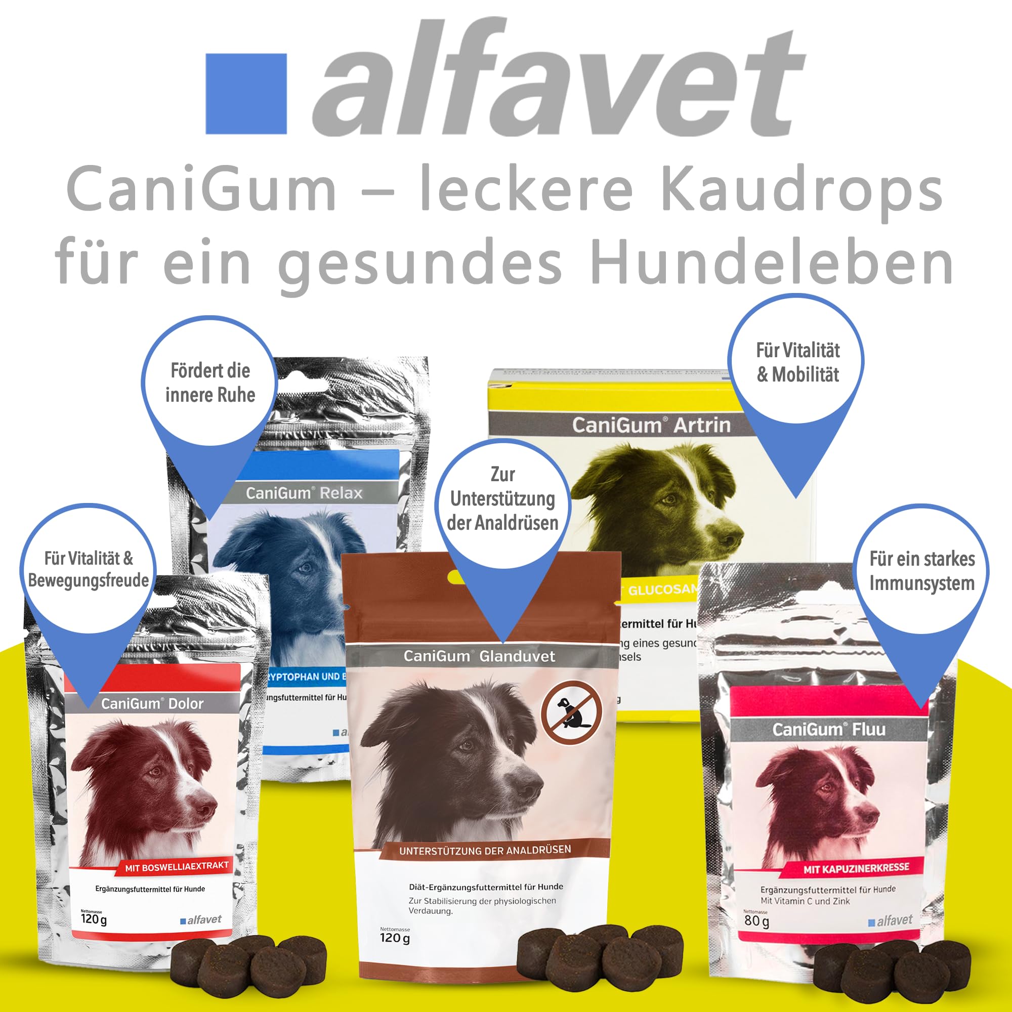 Alfavet CaniGum Artrin - 2 x 6 x 28 g Kauriegel Hund - Gelenkstoffwechsel