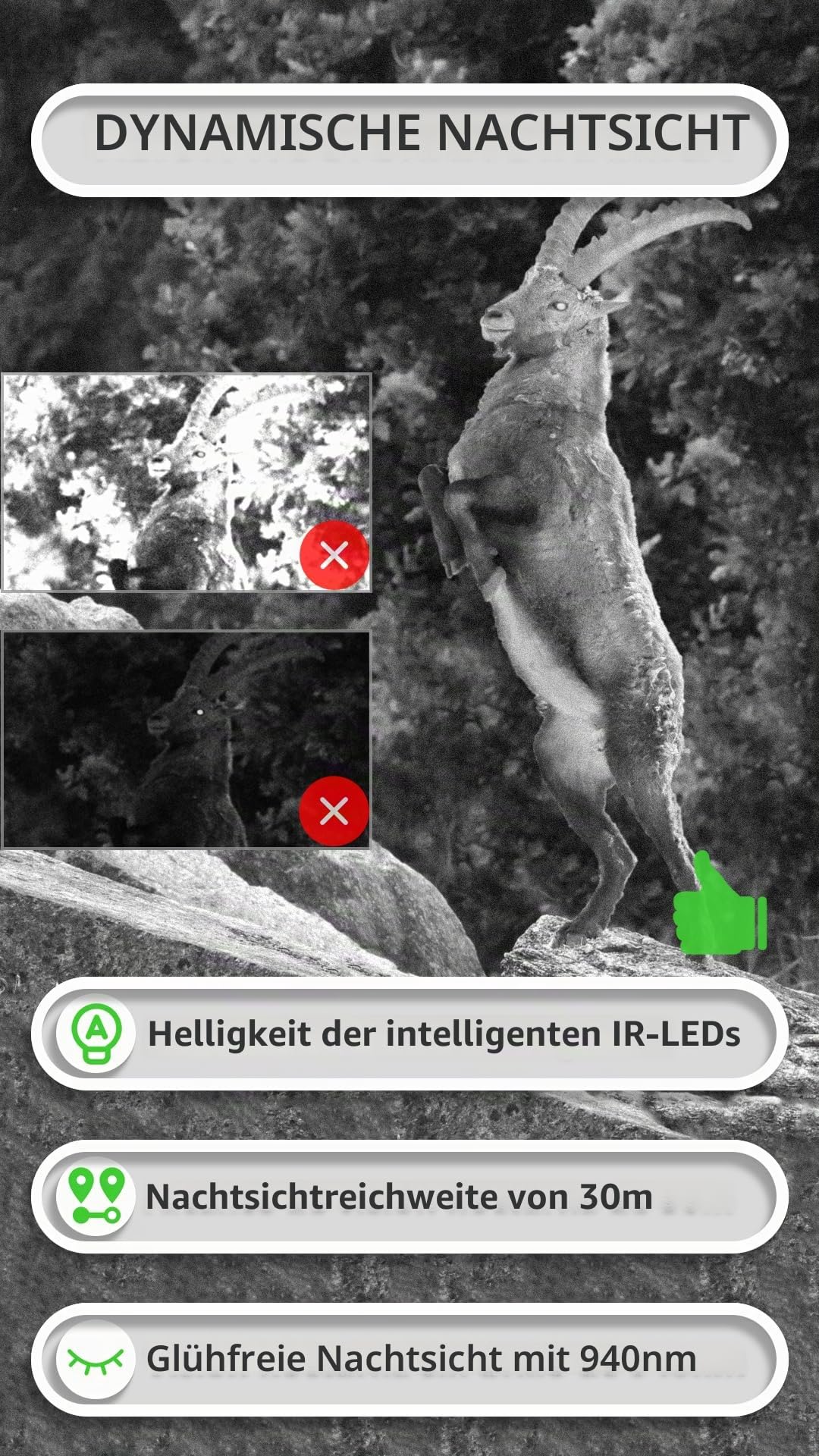 GardePro E8P Wildkamera WLAN und L800D Akku-Set