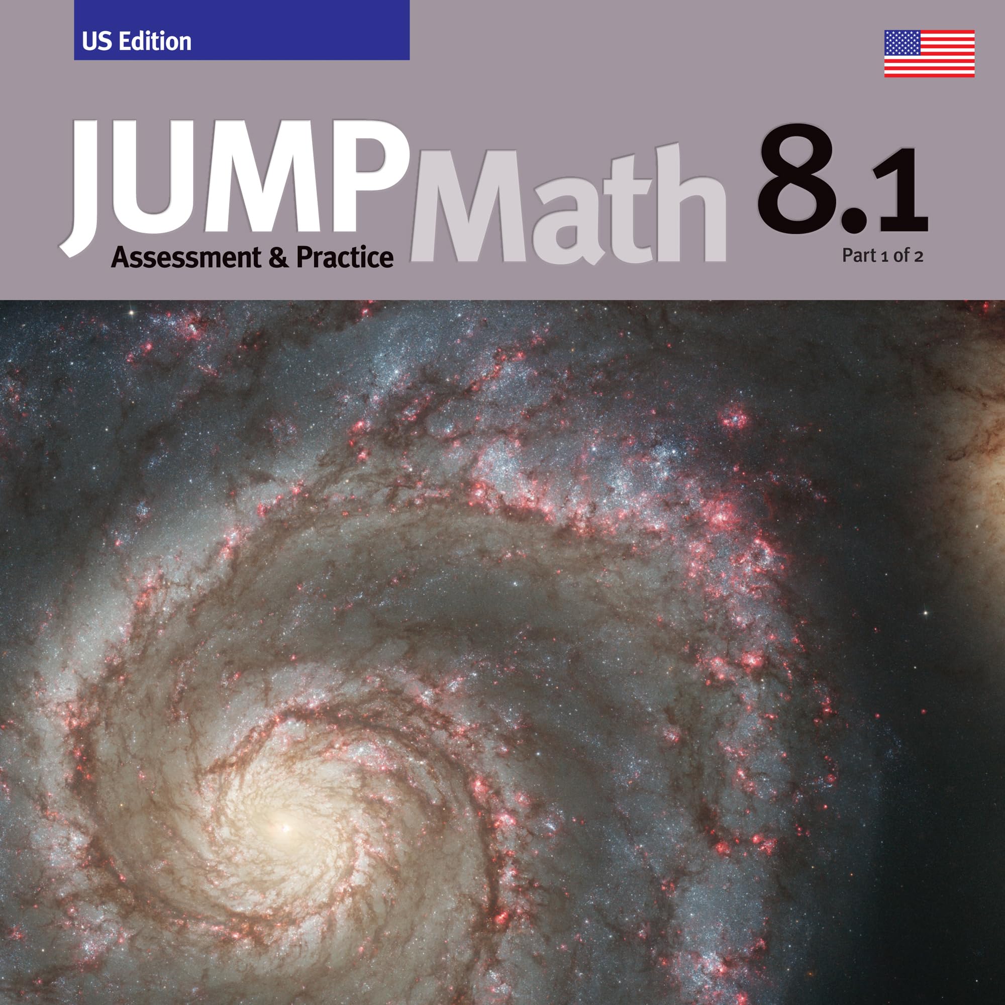 Assessment & Practice Book 8.1: US Edition (JUMP Math)