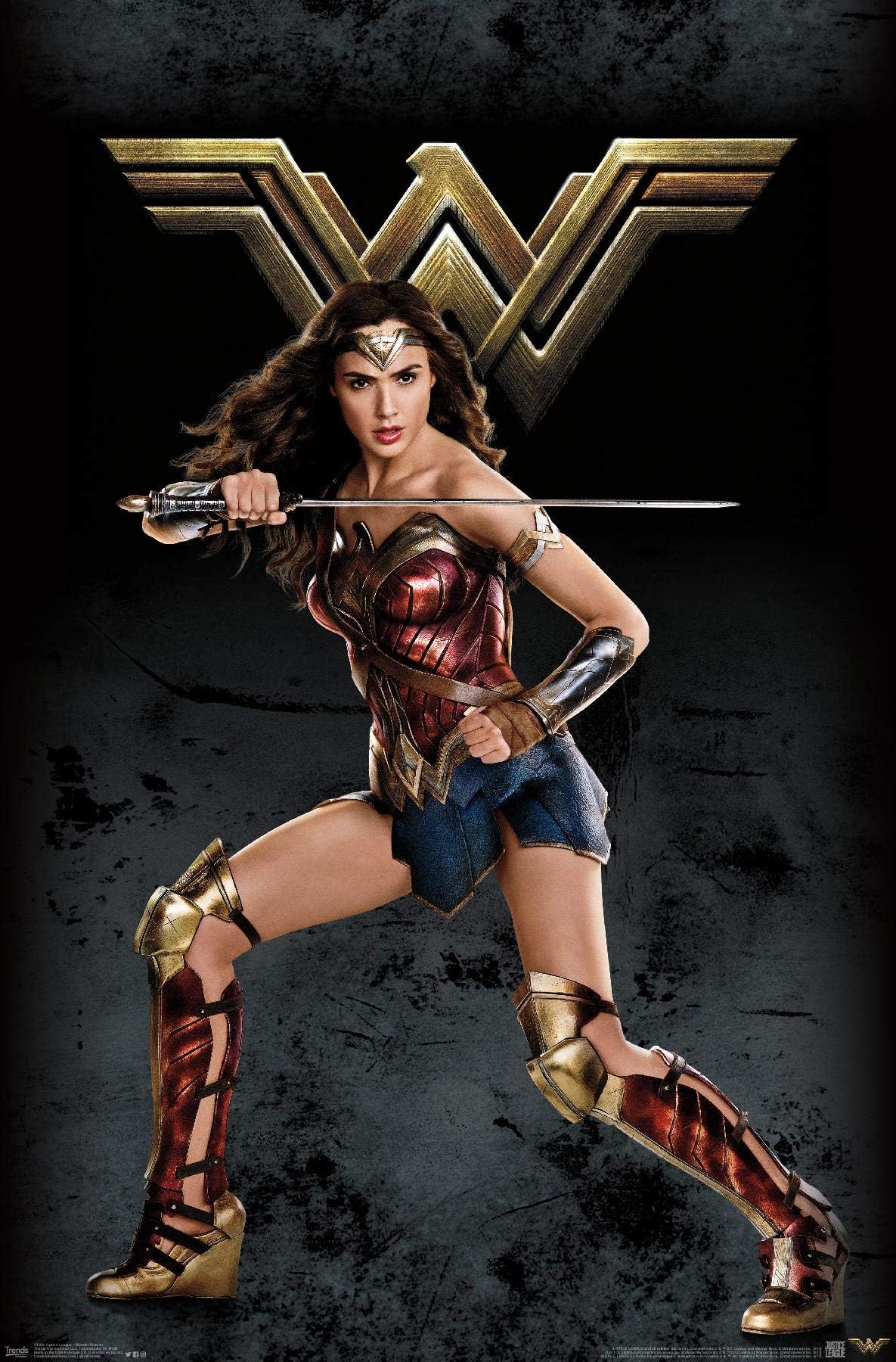 Trends International DC Comics Movie Wonder Woman