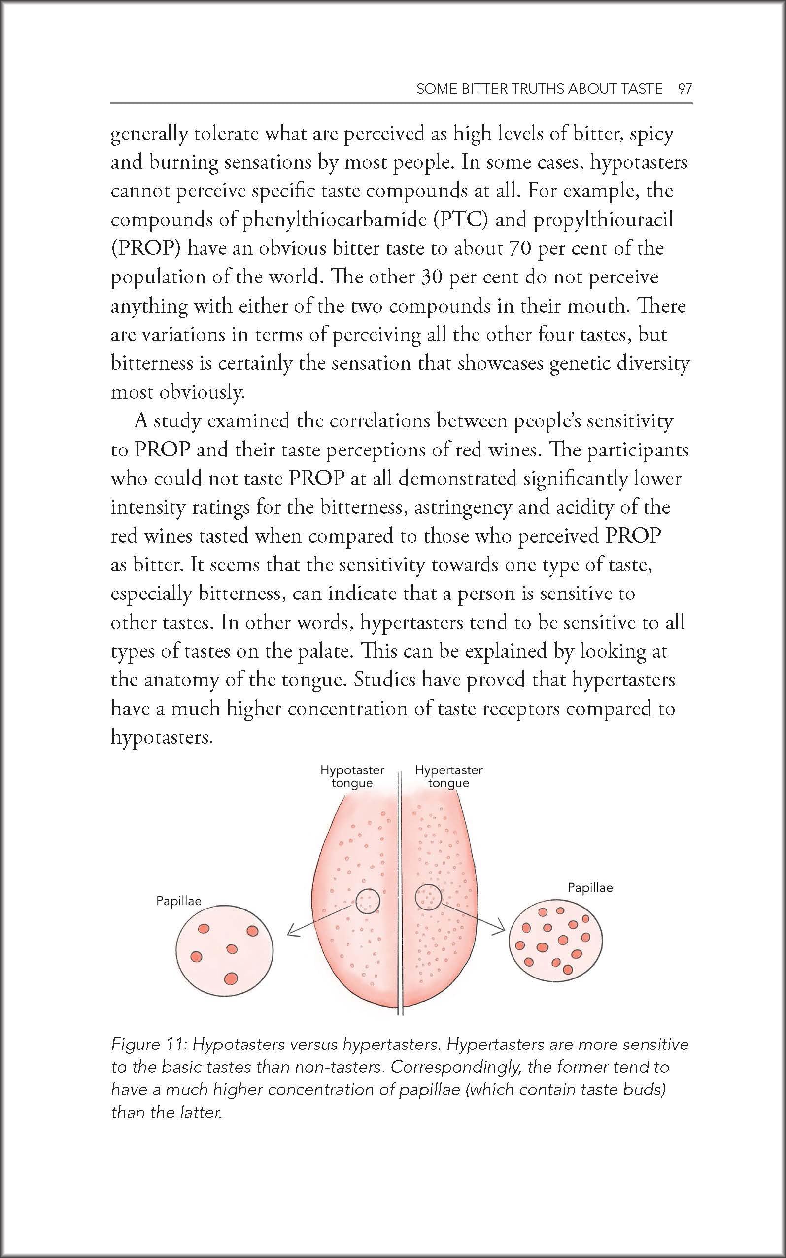 Behind the Glass: The Chemical and Sensorial Terroir of Wine Tasting