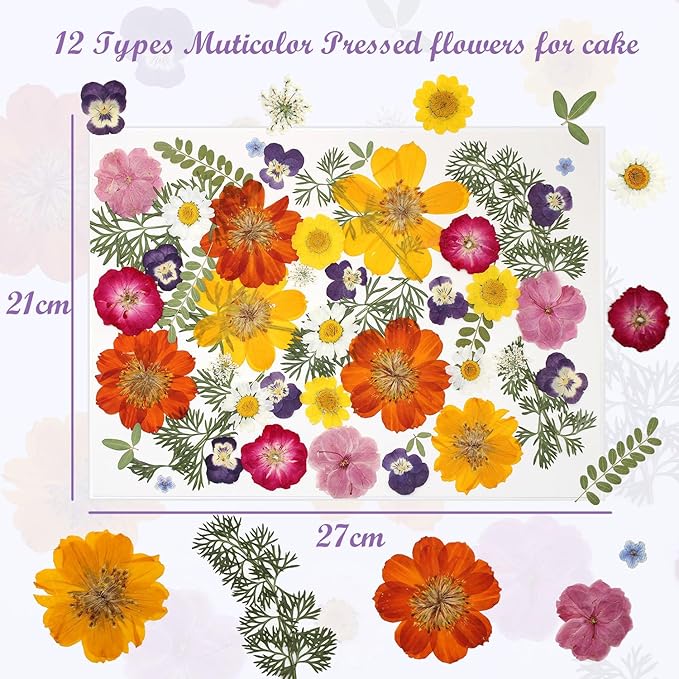 48 Piezas Flores Secas Naturales Mixtas para Manualidades y Pasteles miniatura 6