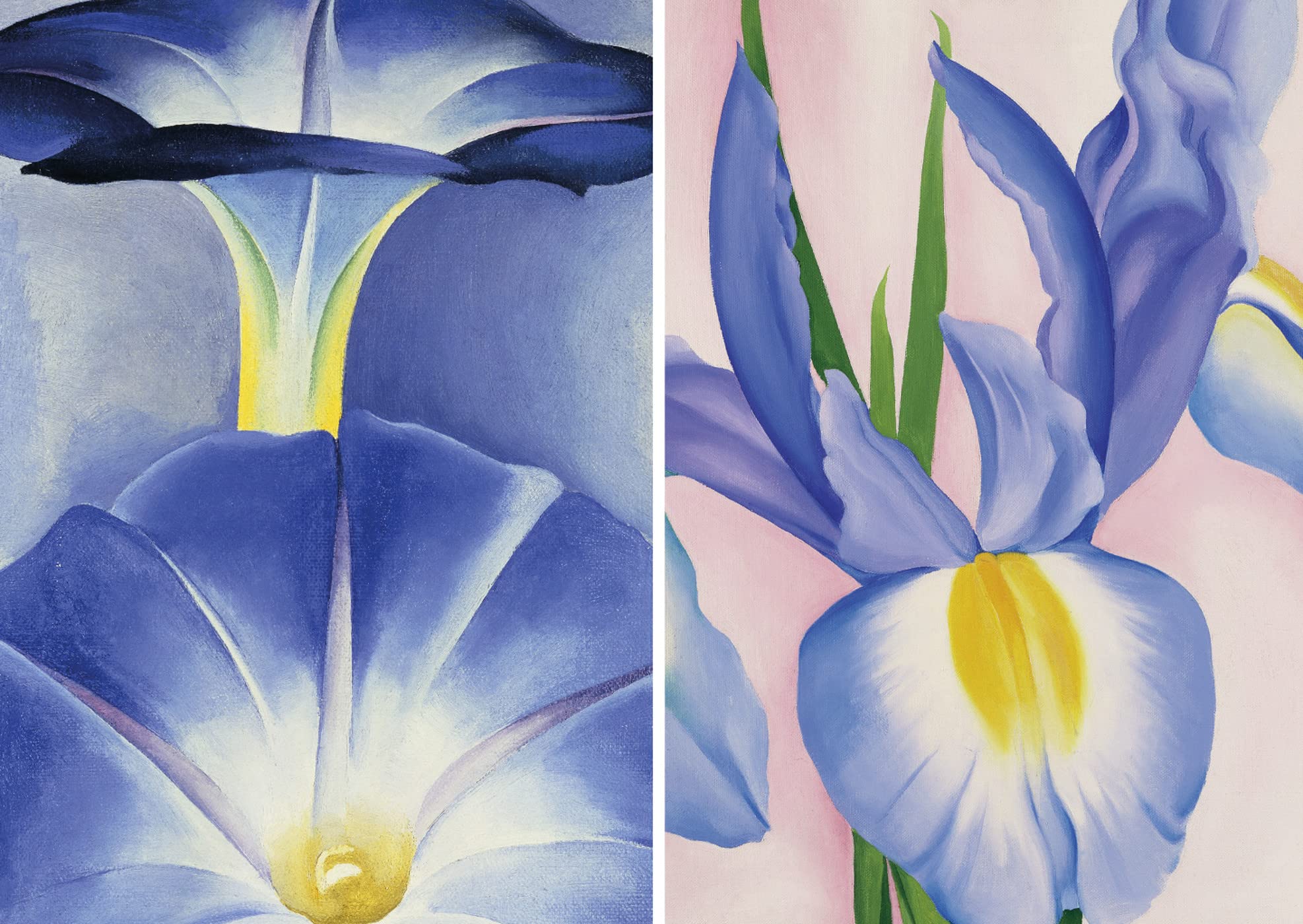 Fleurs. Coffret l'essentiel