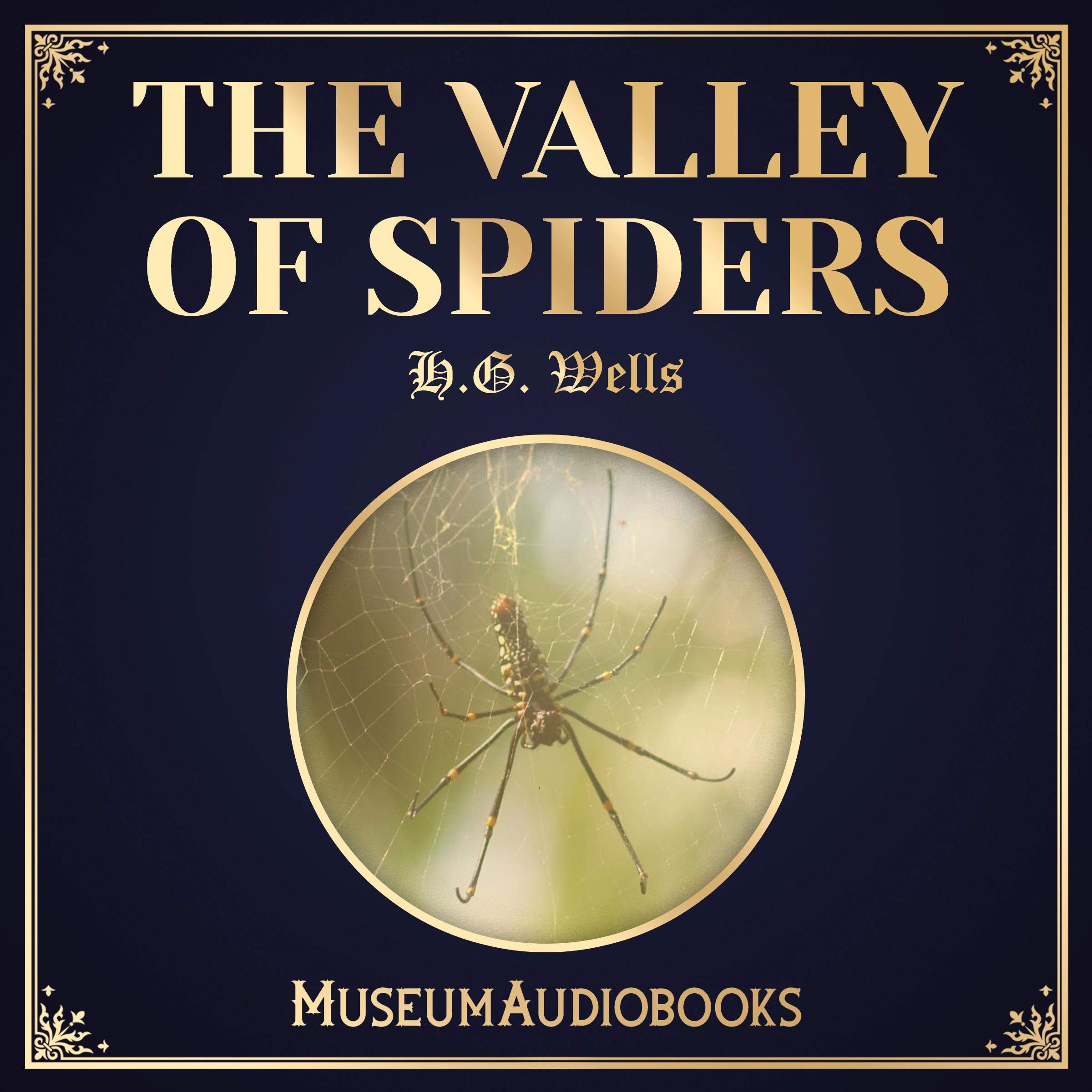 Cover art for The Valley of Spiders