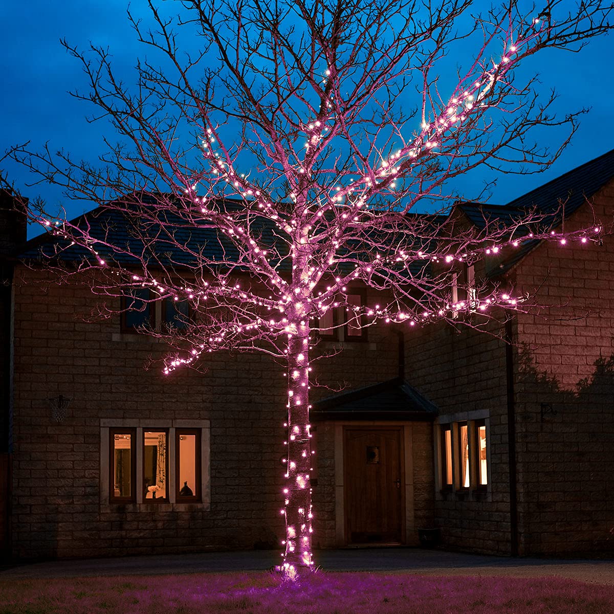 Festive Lights - ConnectGO Connectable Outdoor Fairy Lights - Mains Powered LED String Lighting - Christmas, Garden, Wedding & Party (Pink, 50m)