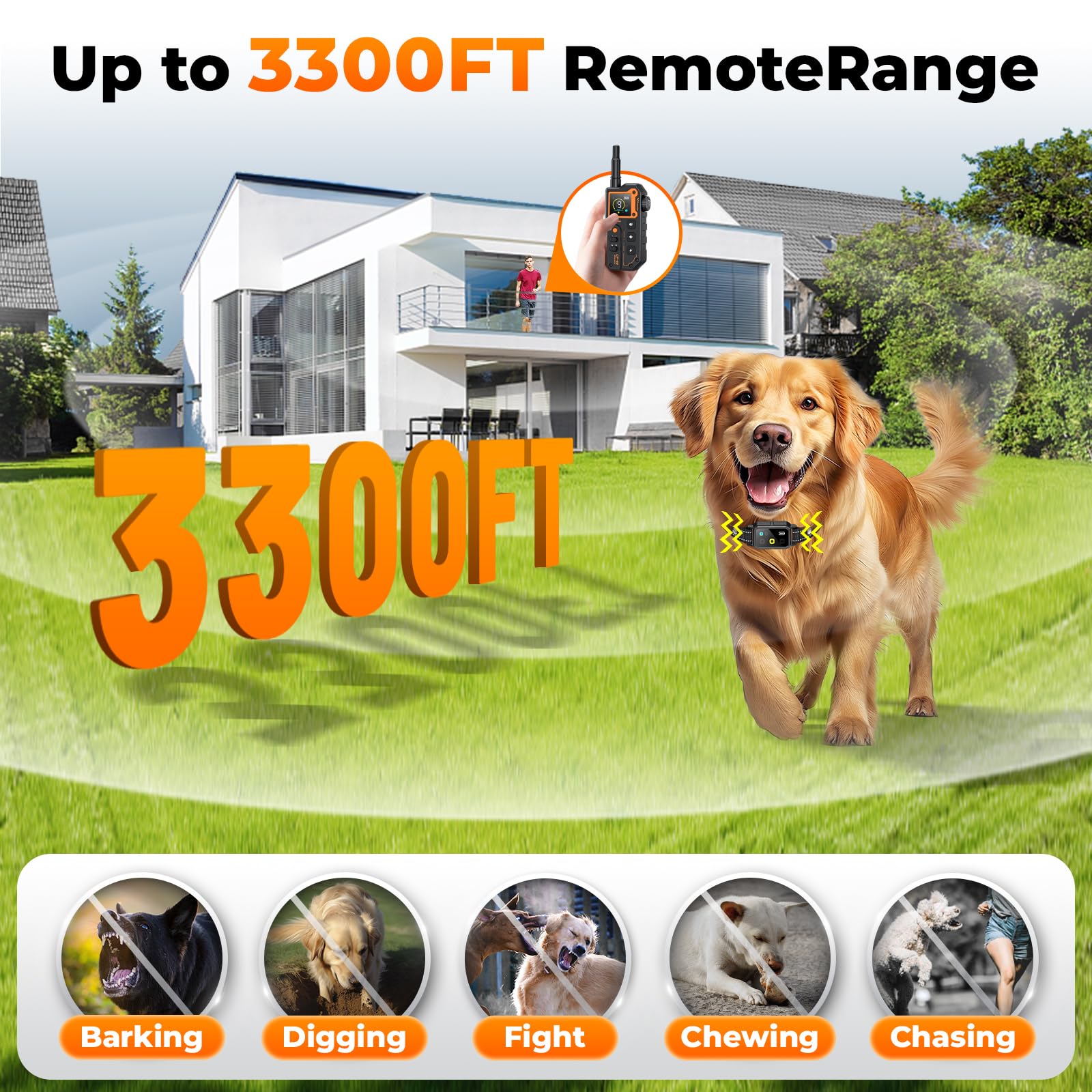 【Shiho】Ameri　RETURN COLLAR ALL IN ONE Shiho】Ameri RETURN COLLAR ALL IN ONE Amazon.com : AI Dog