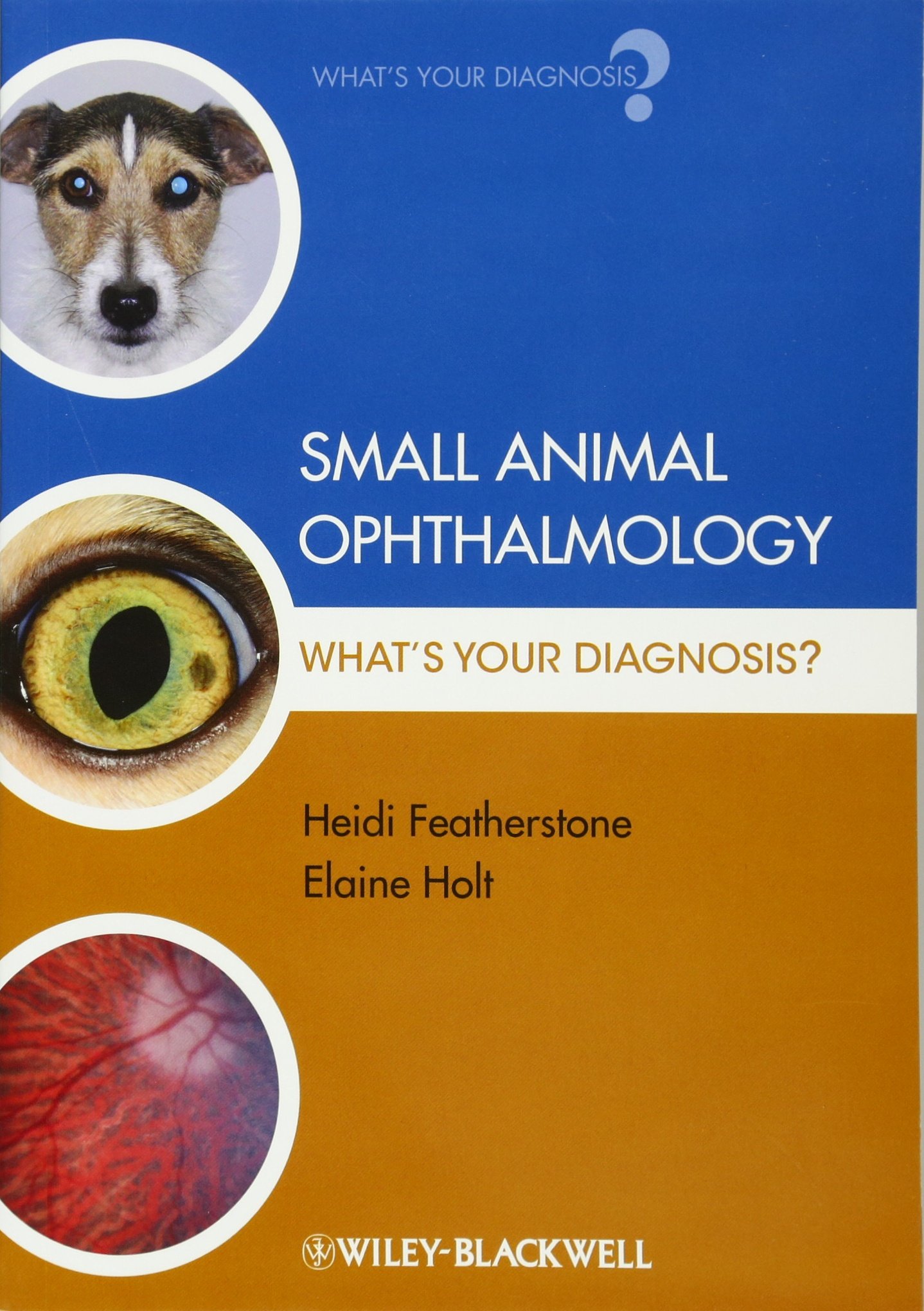 Small Animal Ophthalmology: What's Your Diagnosis?: 1