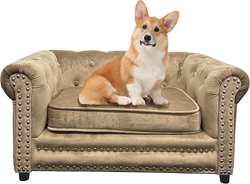 Miniatura 1 de First of a Kind Cojín para mascotas, sofá cama para perros con cojín, cojín extraíble tapizado de terciopelo, sofá cama para gatos pequeños y