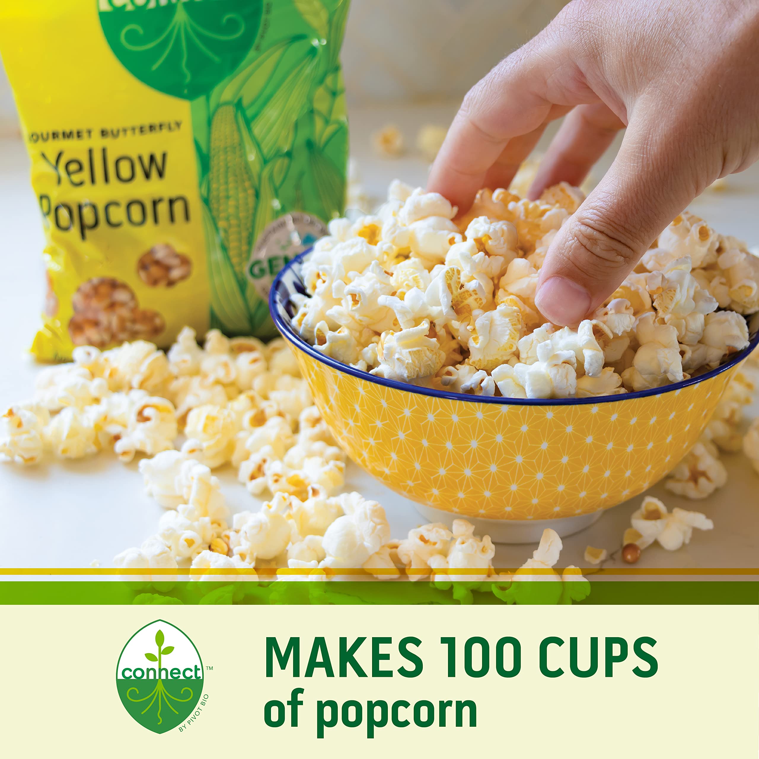Connect Snacks NonGMO Large Popcorn Kernels (24 oz bag, 100 cups of