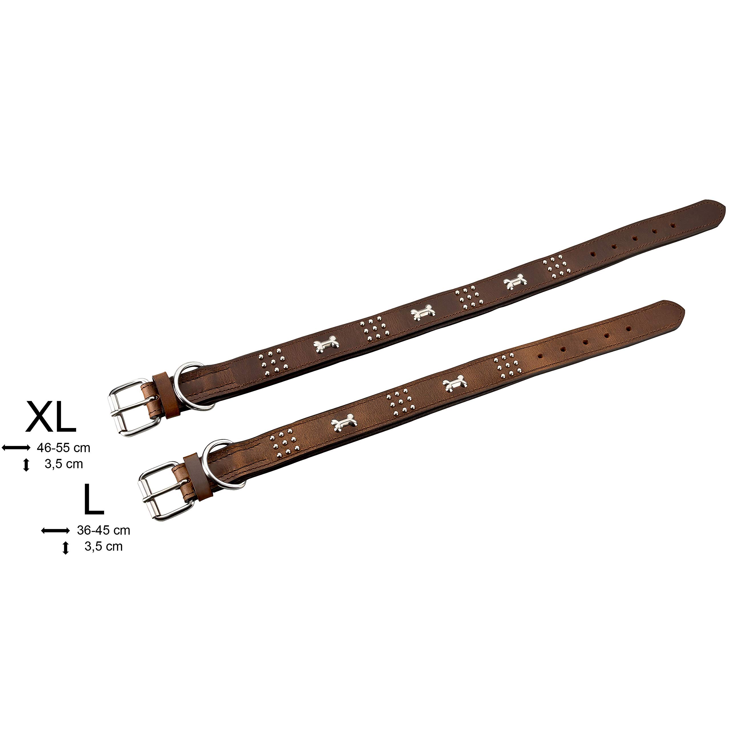 Nala Halsband für Hunde aus Leder mit Applikation und Nieten, Hundehalsband für den großen und mittleren Hund (L - 36-45cm, Braun)