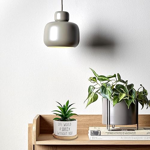 Miniatura 8 de Life Would Suc - Macetas blancas para suculentas sin plantas, divertidas macetas con bandeja de bambú, maceta de interior para mujeres, amigos,