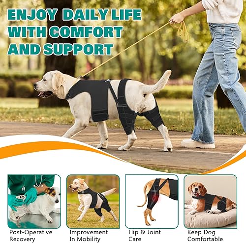 Miniatura 7 de Rodillera para perro con soporte de doble pierna con arnés - Estabilizador ortopédico de articulaciones para desgarro de ligamento cruzado anterior,