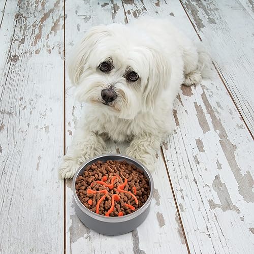 Miniatura 7 de Jaoul Inserto de alimentador lento para perros, diseño de rompecabezas con 21 ventosas para tazones para perros de razas pequeñas (naranja)