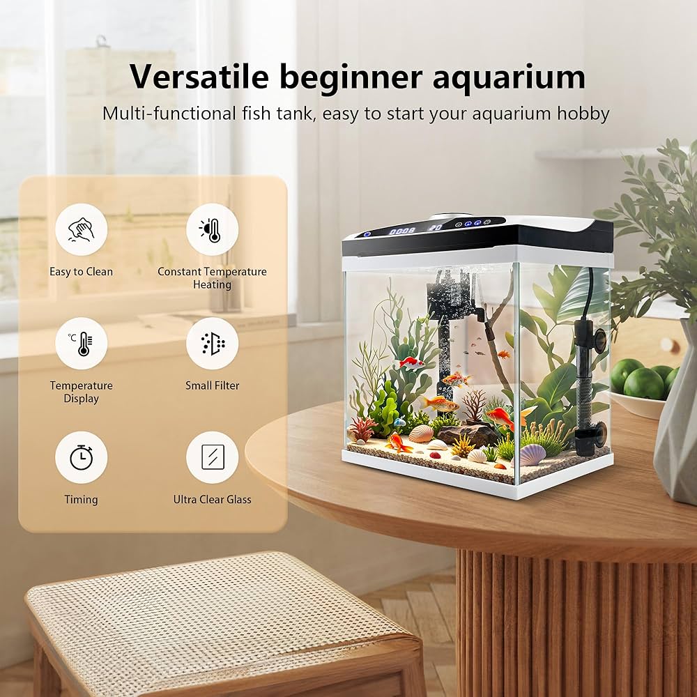 Amazon.com : 4-Gallon Small Fish Tank with Filter, Heater