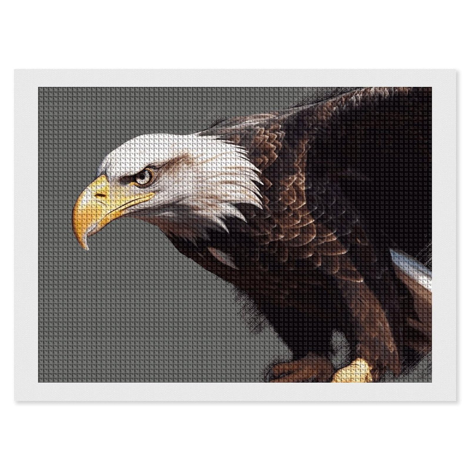 NONHAI Diamond Painting Kits for Adults - DIY Diamond Art Kits for Beginners - Full 5D Paint Drill Diamond Dots Paintings- Eagle Diamonds Pictures Gem Art and Craft Wall Decor 12"x16"