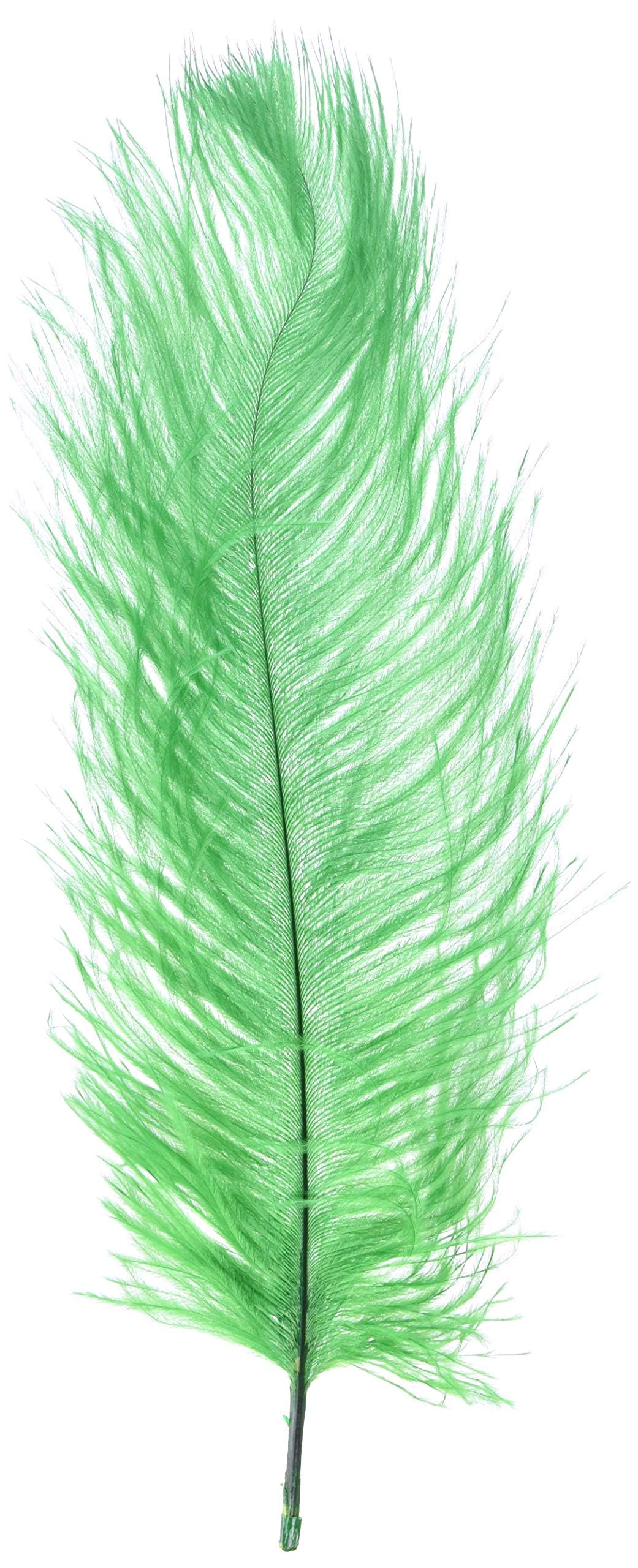 Shekyeon Dark Green 10-12inch 25-30cm Ostrich Feather Home Decoration DIY Craft Pack of 10