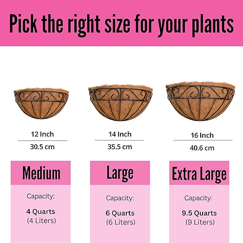 Miniatura 4 de LaLaGreen - Macetas colgantes de pared de 16 pulgadas, paquete de 2, cesta grande de flores montada en la pared con forro de coco, canal de metal