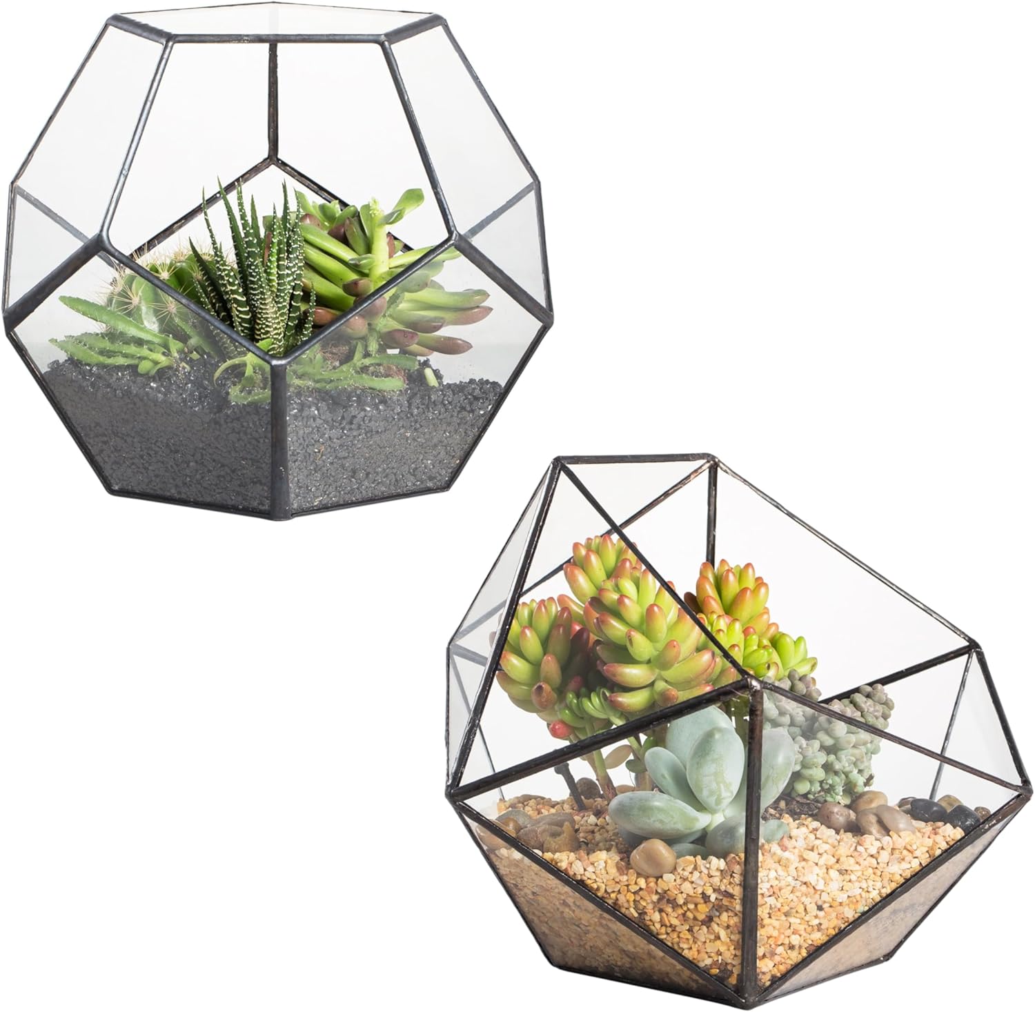 NCYP Glass Terrarium - Small Open Terrarium Planter, and Opened Bowl Shape Geometric Glass Terrarium, for Small Succulent Cacti, Ferns, Indoor Home Garden Office Tabletop Decor (No Plants)