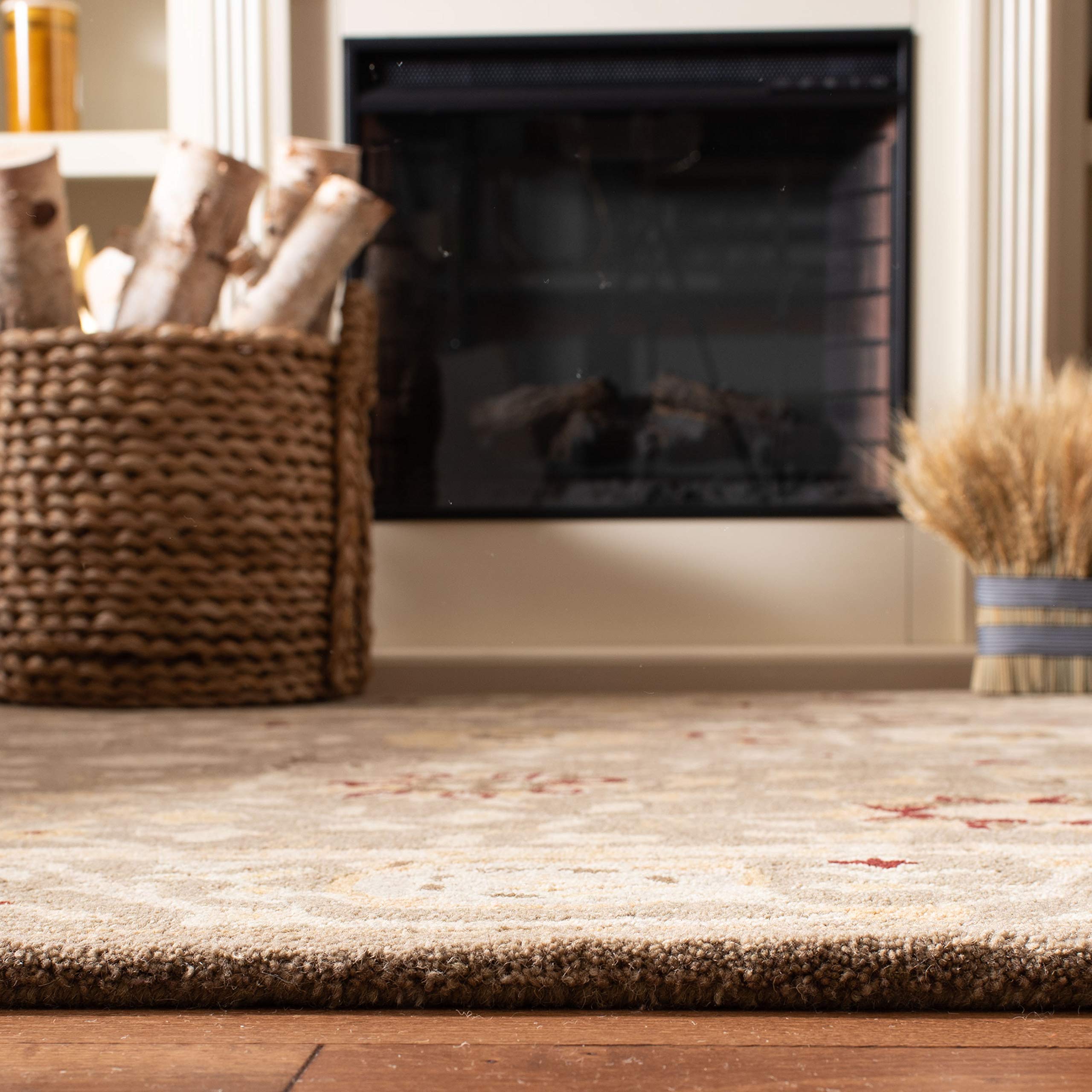 Amazon.com: SAFAVIEH Anatolia Collection Area Rug - 6' x 9', Beige
