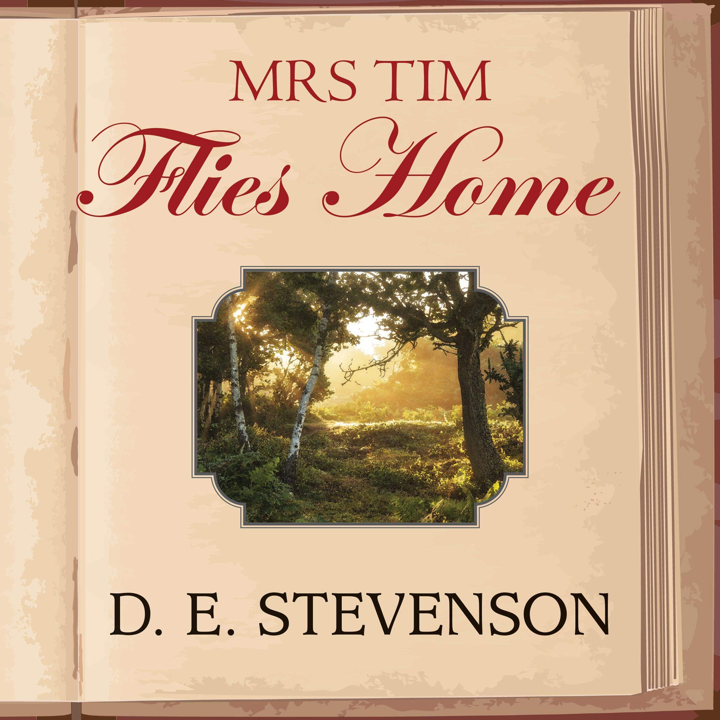 Cover art for Mrs Tim Flies Home