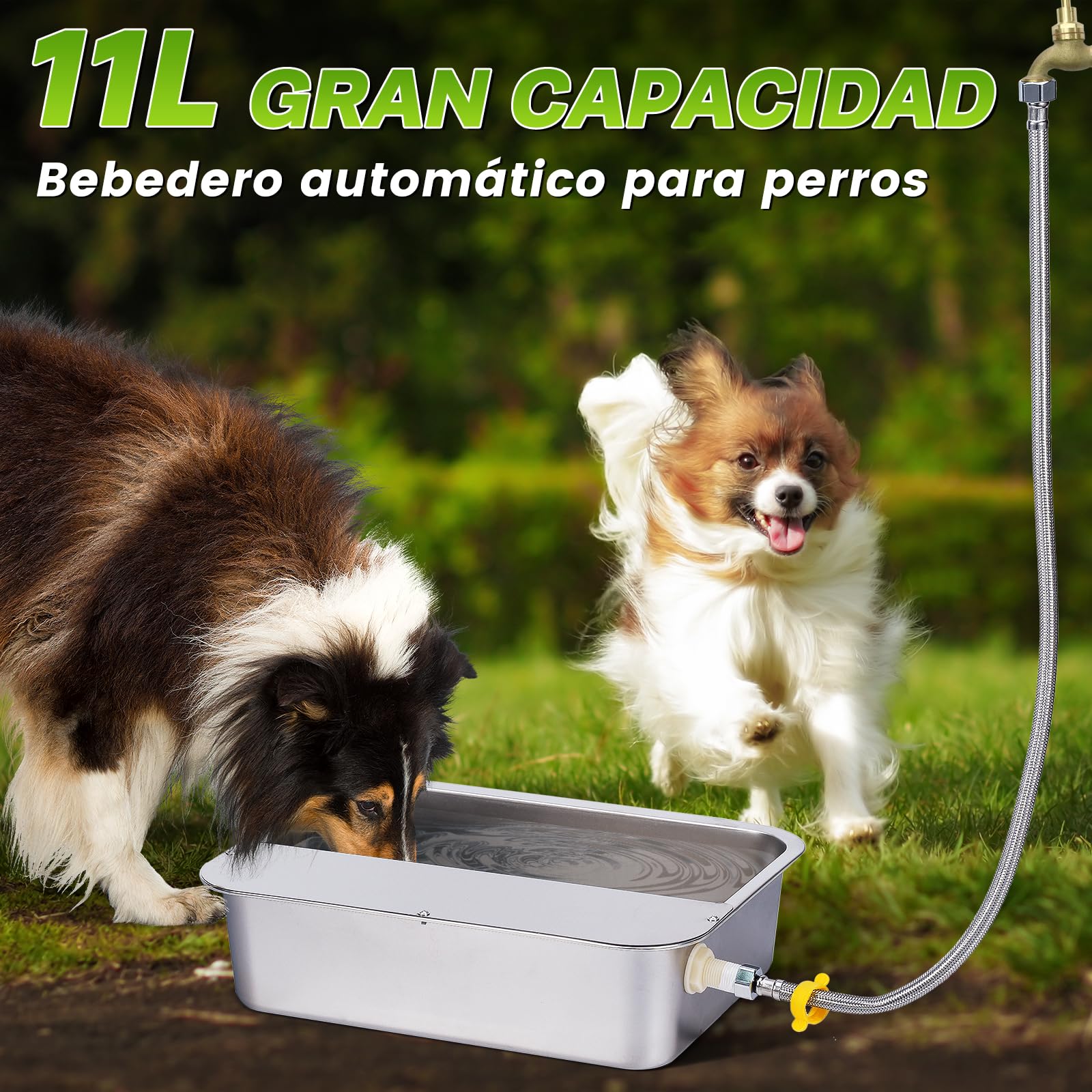 Dispensador Automático de Agua para Perros de 11L con Válvula Flotante, Bebedero para canino al Aire Libre para Dos Chucho, Cuenco de Agua para Perros de Gravedad de Acero Inoxidable (Autocompletar)