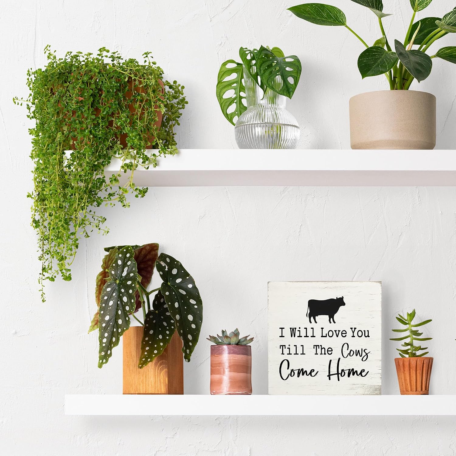 Cow Wooden Box Sign - Western Decor, Western Cow Wooden Sign 5x5, Farmhouse Rustic Deocr, I Will Love You Till the Cows Come Home image 2