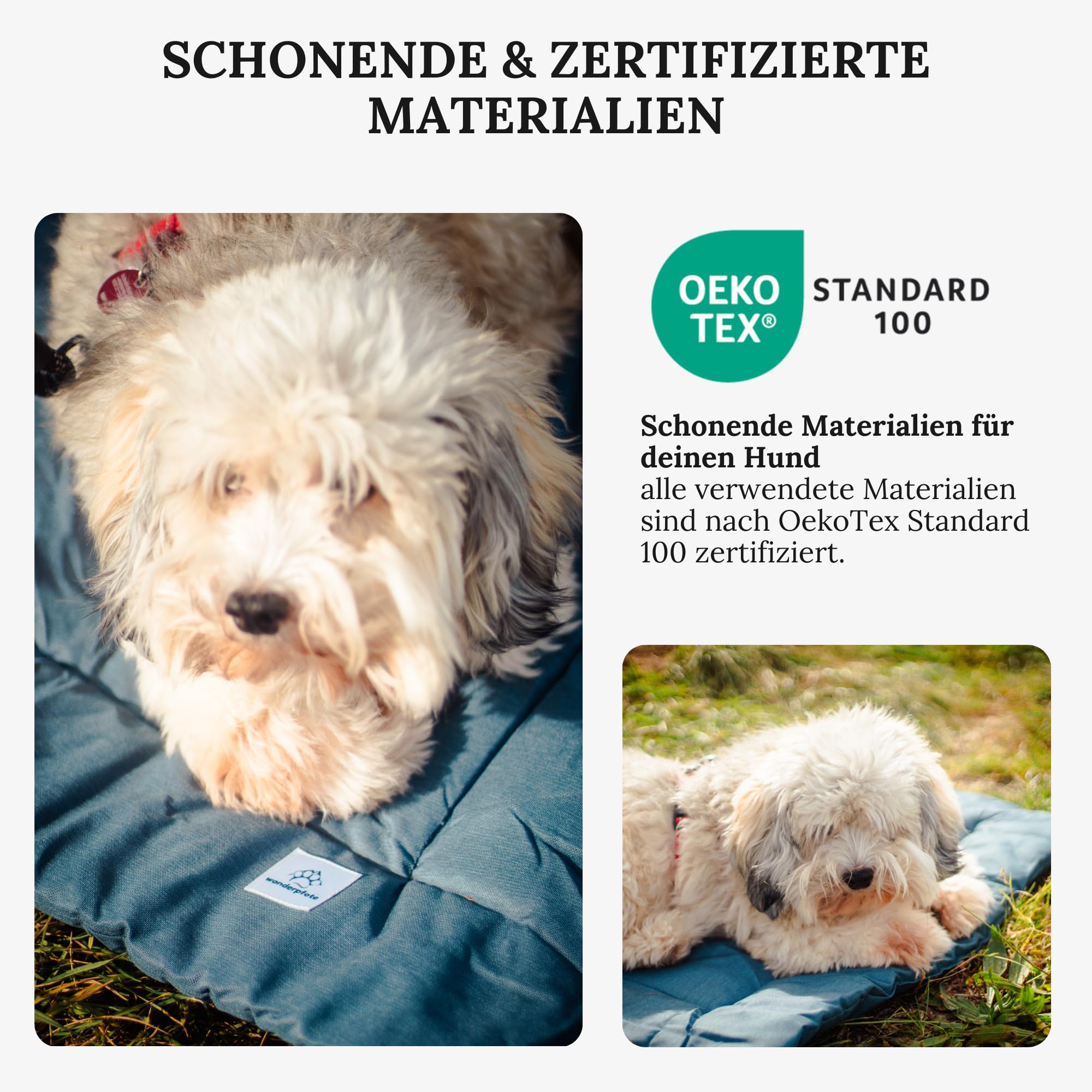 Tappetino per cani da viaggio, arrotolabile (Blu, L)