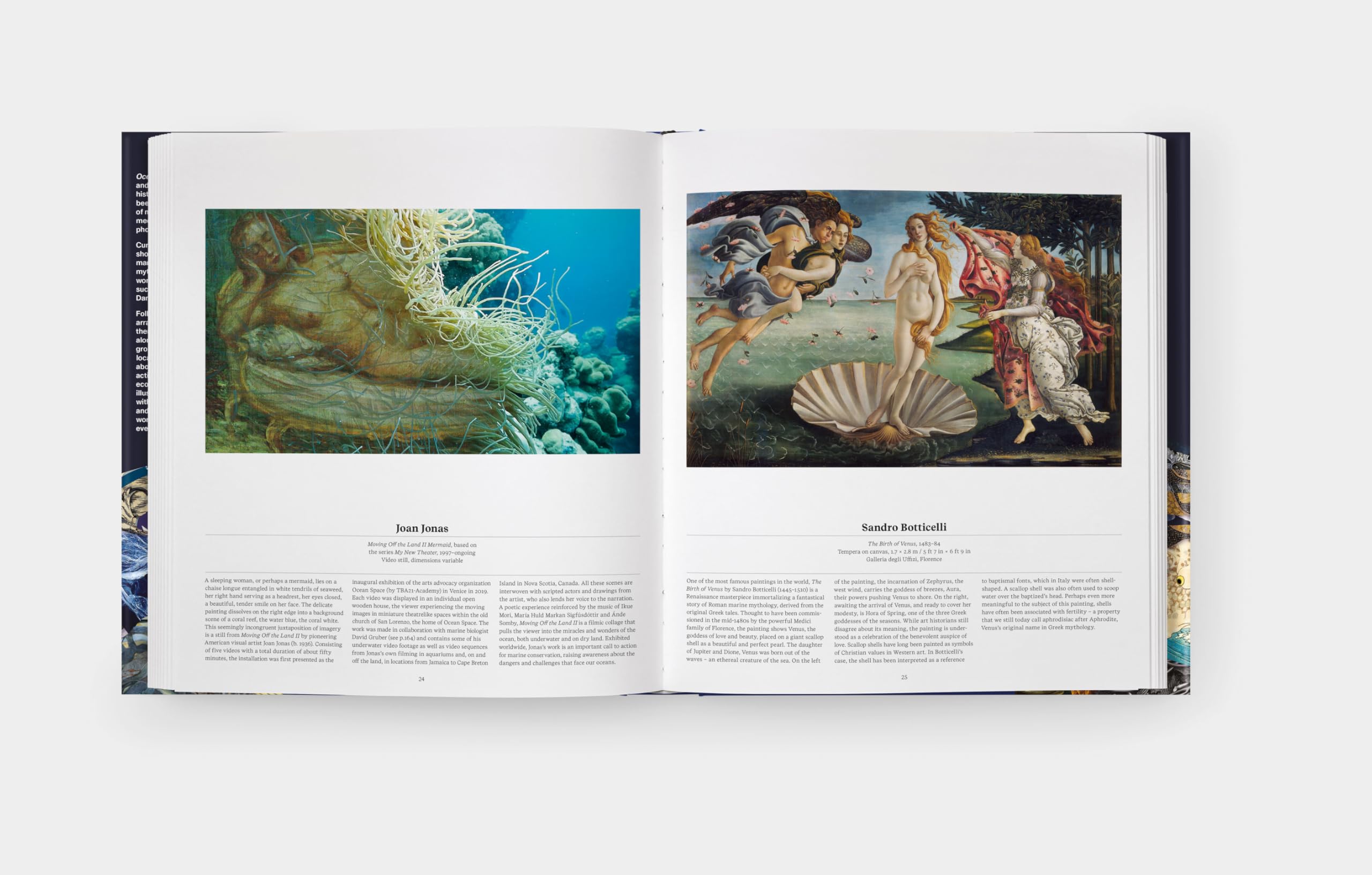 OZEANE - Die Welt der Meere: Ein Ausflug in die maritime Welt. Streifzug durch Illustrationen aus Wissenschaft und Kunst: Das faszinierende Ökosystem Meer in einem prachtvollen Bildband