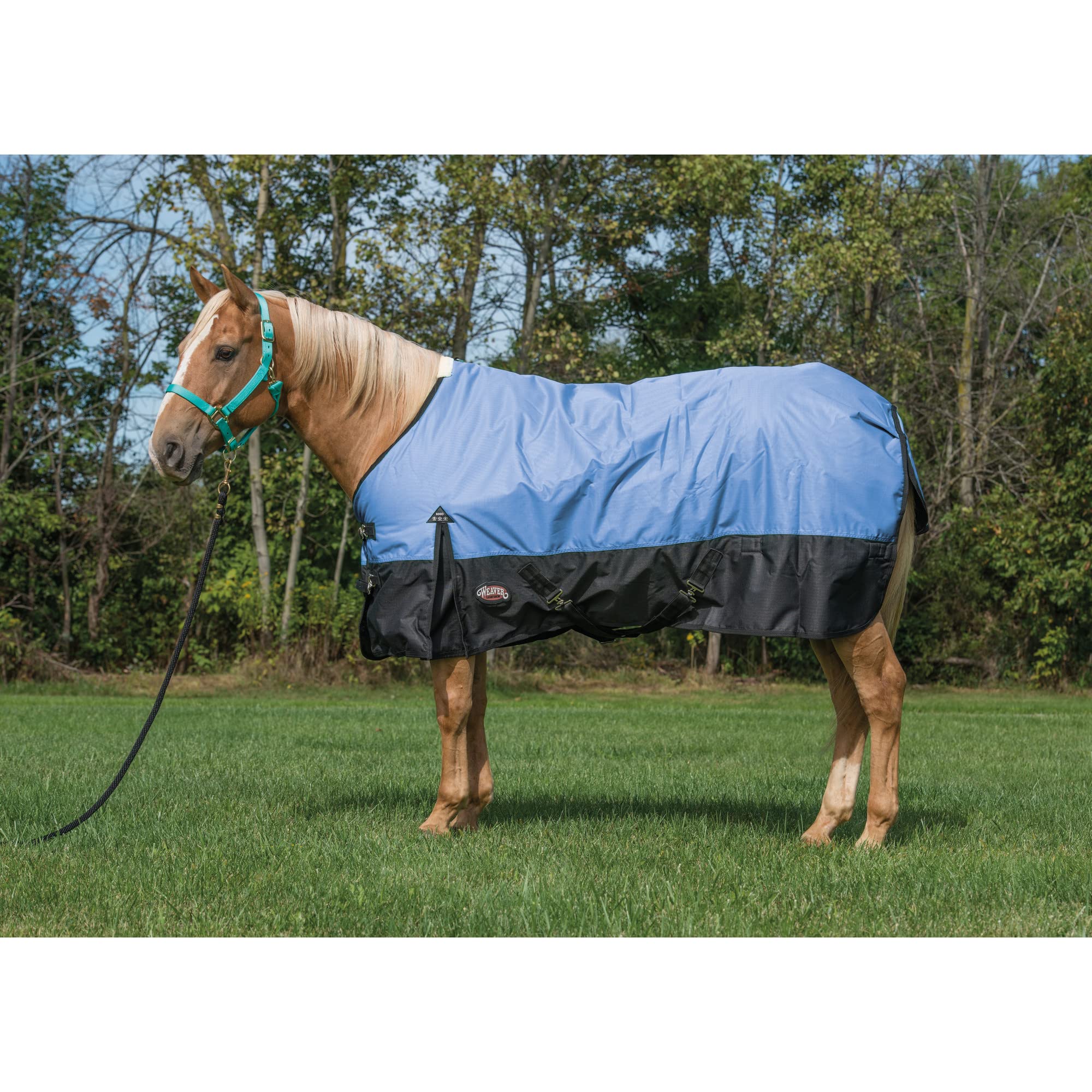 Weaver Leather Manta de Caballo ECON, Unisex-Adulto, Azul, 206 cm
