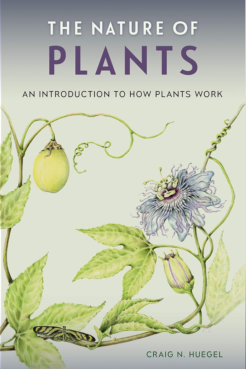 The Nature of Plants An Introduction to How Plants Work Illustrated