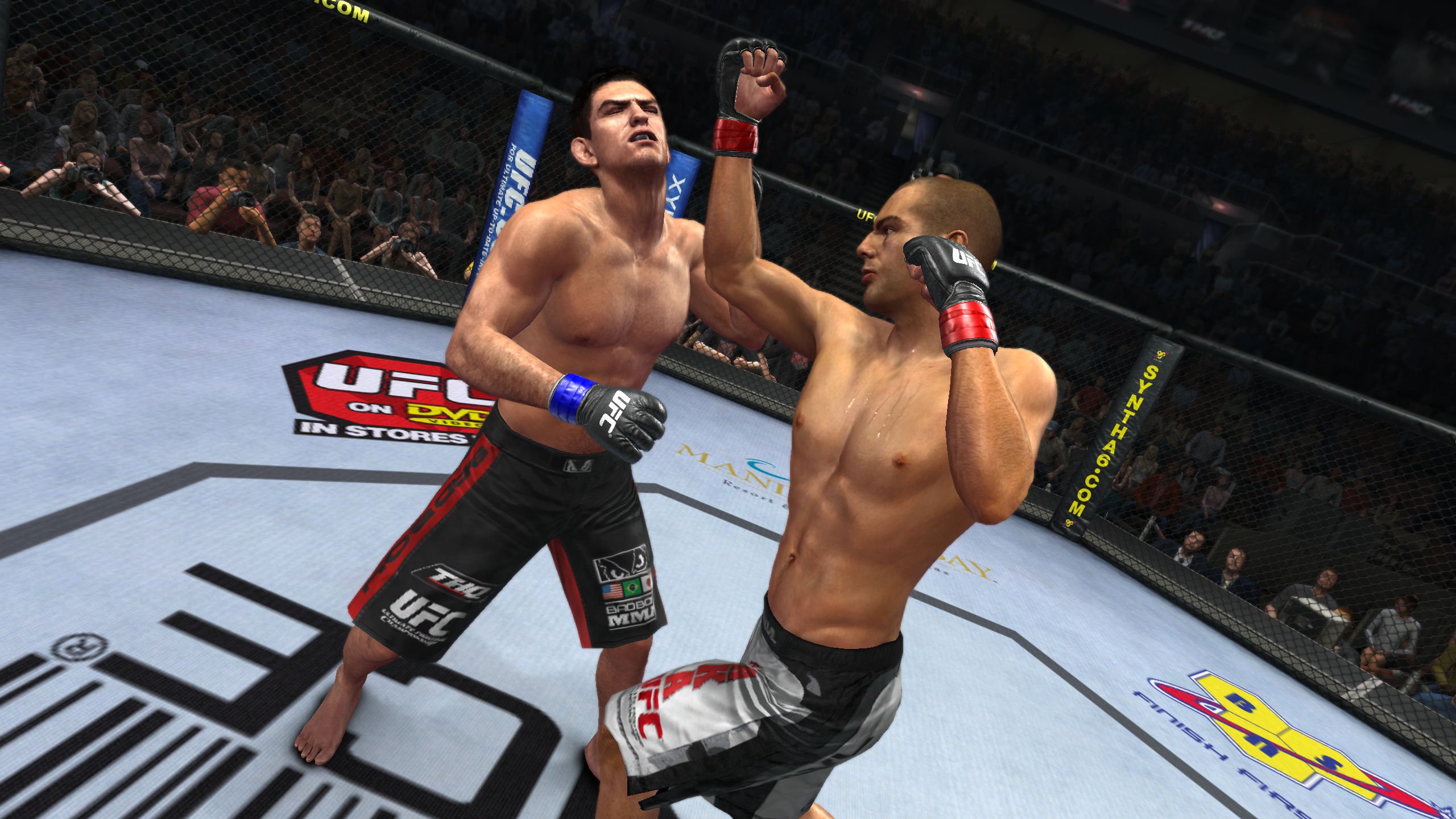 THQ UFC Undisputed 2010
