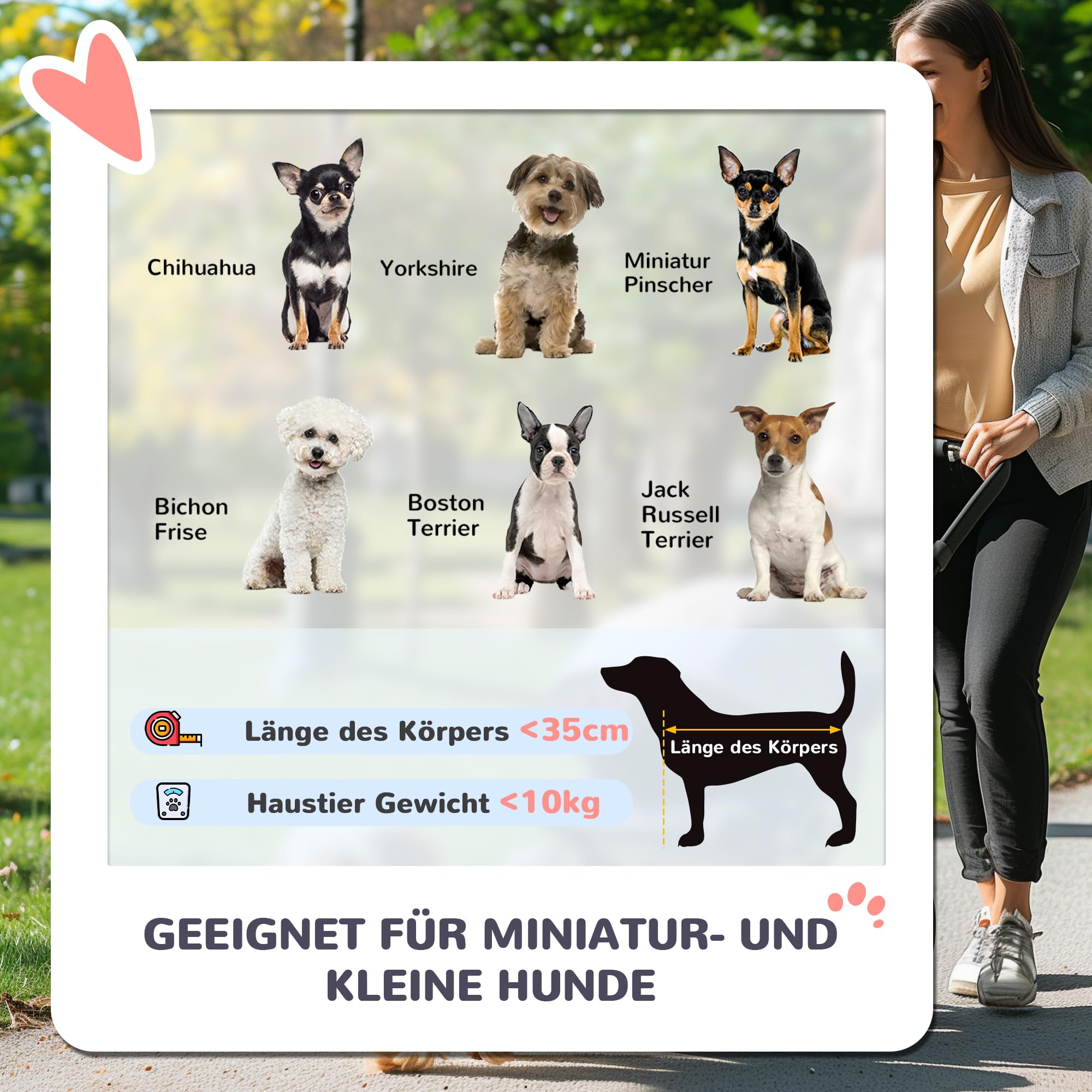 PawHut Hundewagen Hundebuggy klappbar für Hunde & Katzen bis 10 kg Katzenbuggy mit Kissen Netzfenstern Getränkehalter Aufbewahrungstasche Katzenwagen Buggy Dunkelgrau
