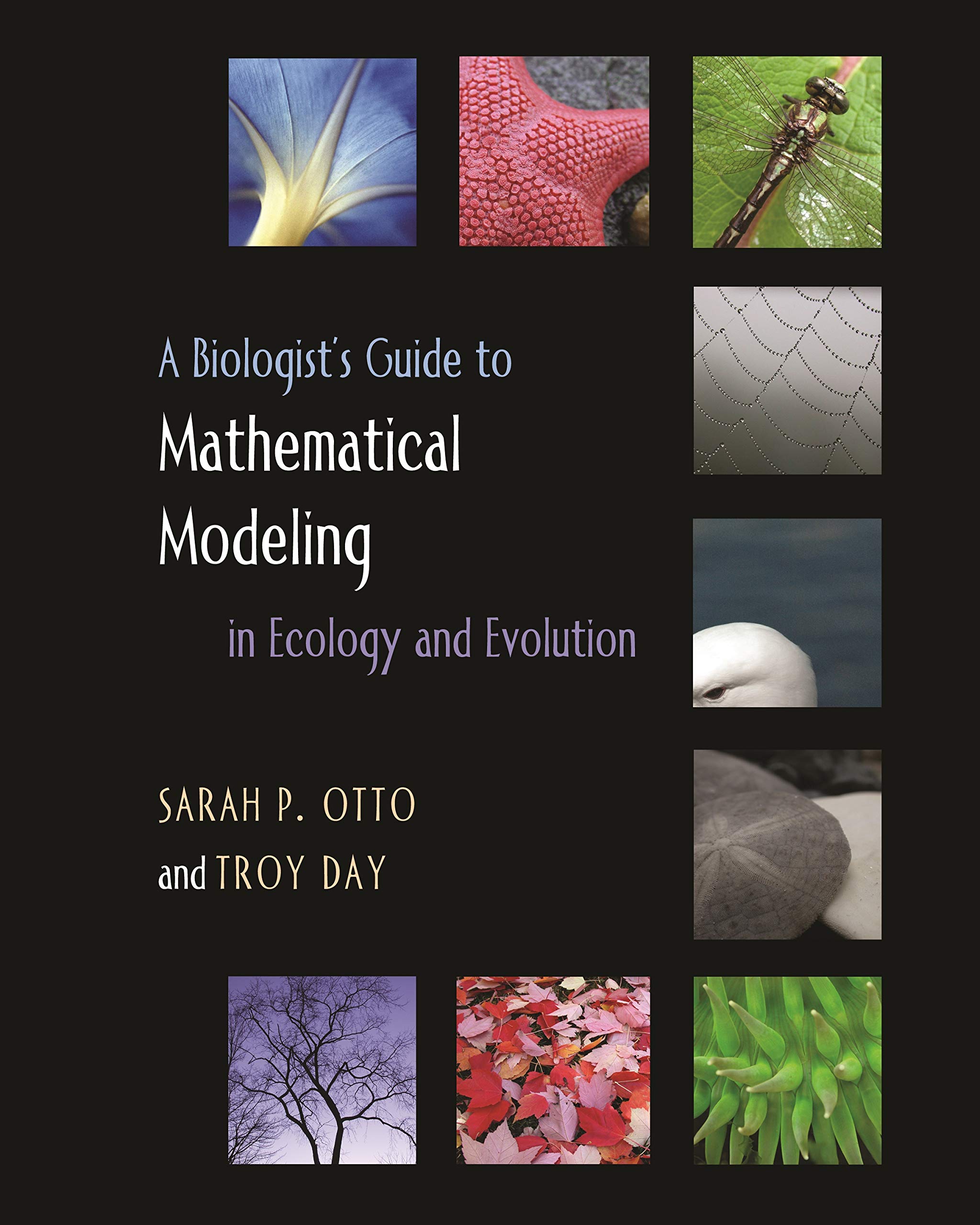 Mathematical modelling journal. Cover book mathematical modeling of technological processes.