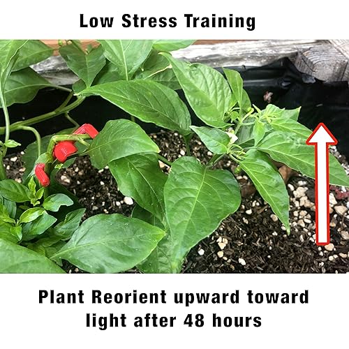 Miniatura 4 de HMG 90 Degree Plant Benders for Low Stress Training (LST), No Stake Trellis, and Plant Training (30 Pack)