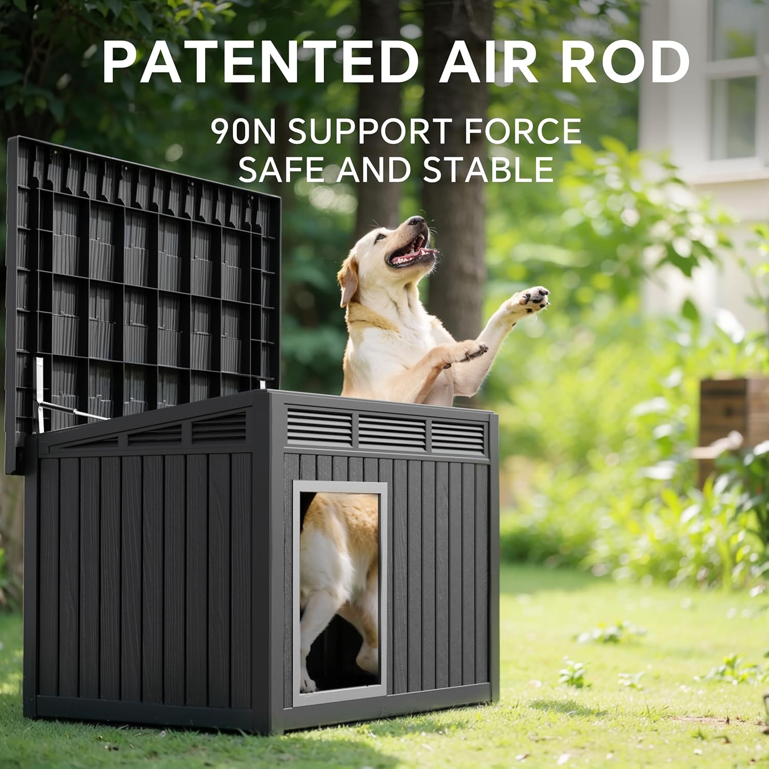 Find Shelter: Review of the DRATO Dog House for Every Pup