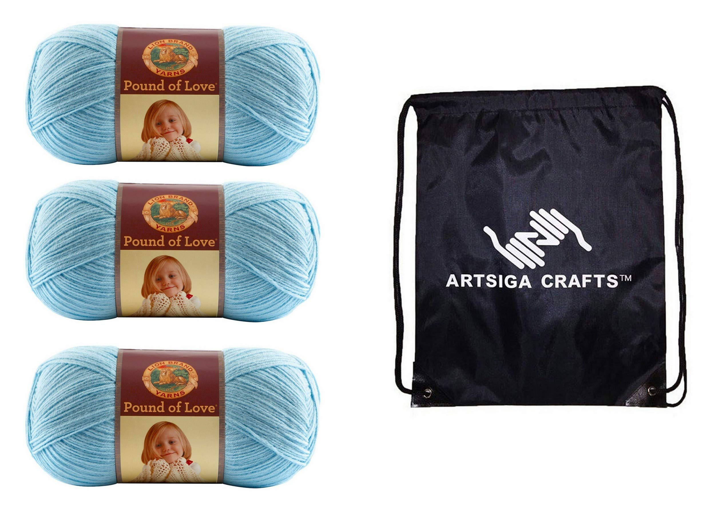 Lion Brand Knitting Yarn Pound of Love Baby Pastel Blue 3-Skein Factory Pack (Same Dye Lot) 550-106 Bundle with 1 Artsiga Crafts Project Bag