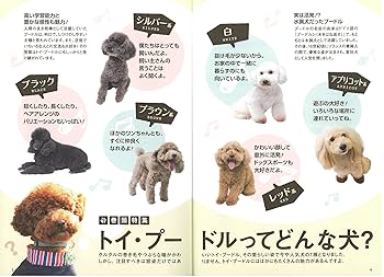 Amazon.co.jp: トイプードルの赤ちゃん 元気&幸せに育てる365日