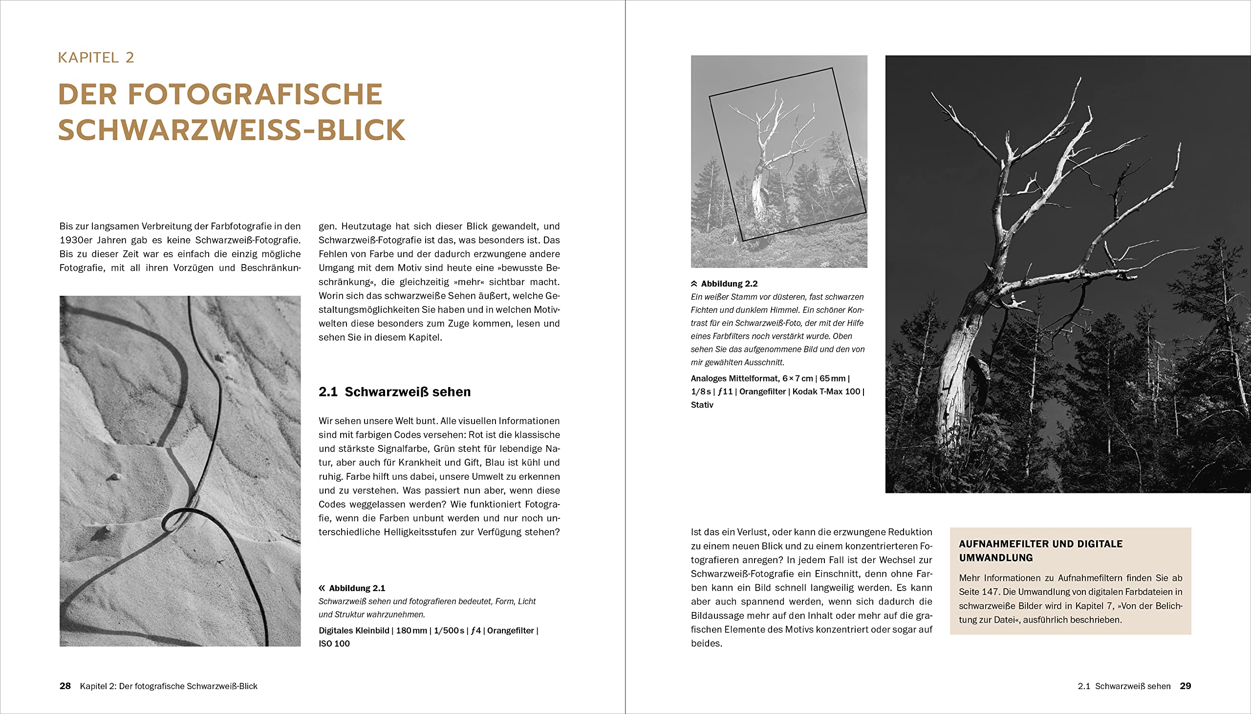 Schwarzweiß-Fotografie: Praxiswissen zu monochromen Bildern. Digital, analog und hybrid