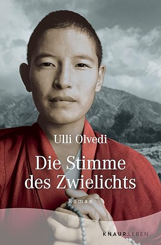 Die Stimme des Zwielichts: Roman | Die Fortsetzung des Tibetromans »Wie in einem Traum«