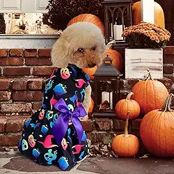 Vestidos de Halloween para cães, fantasias de cachorro, abóbora e roupa de esqueleto com laço
