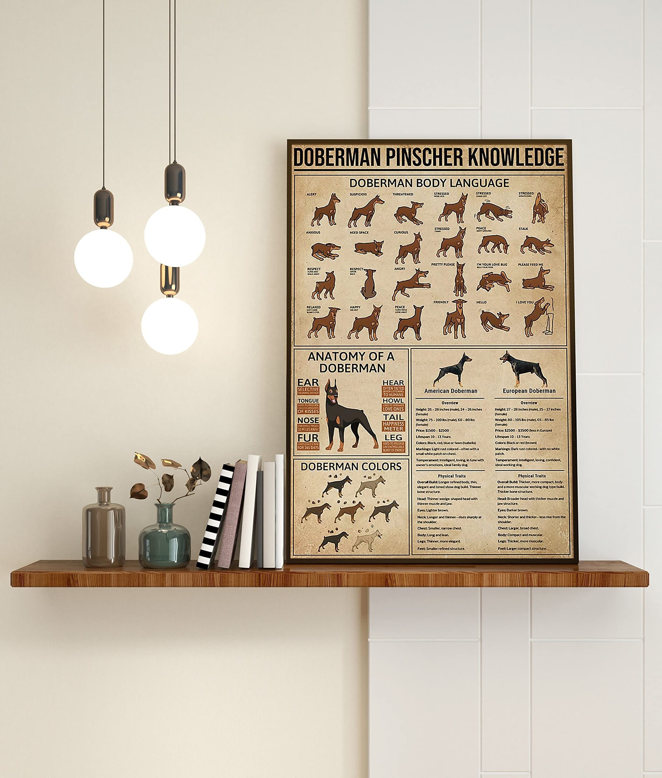 Retro Metal Tin Sign 12 X 16 Inches Doberman Pinscher Knowledge Poster Doberman Body Language Anatomy of A Doberman Doberman Fact Doberman Color Poster Funny Wall Decor Nostalgic Arts Decor Gifts