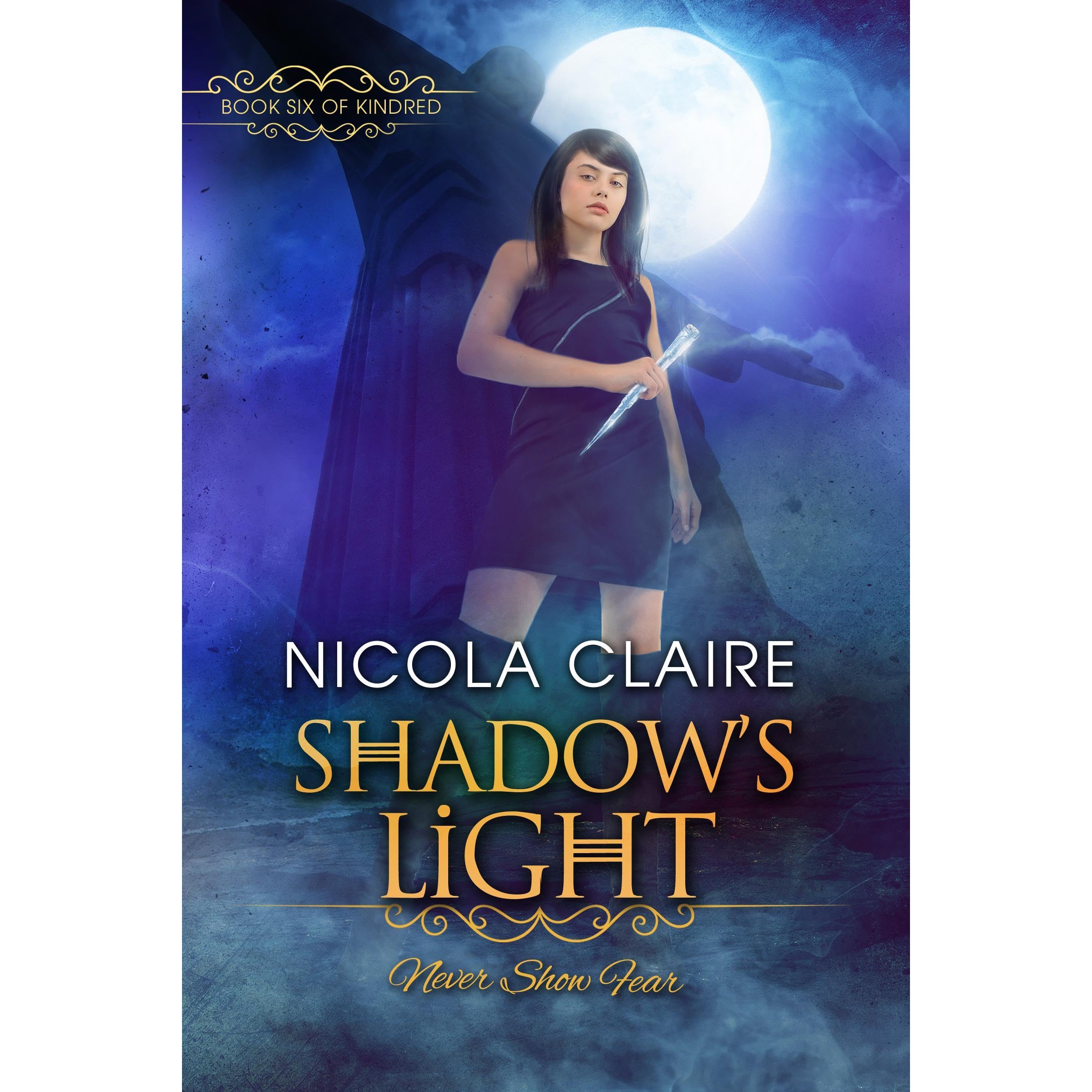 Shadow's Light (Kindred, Book 6): A Paranormal Romance Vampire Hunter Series