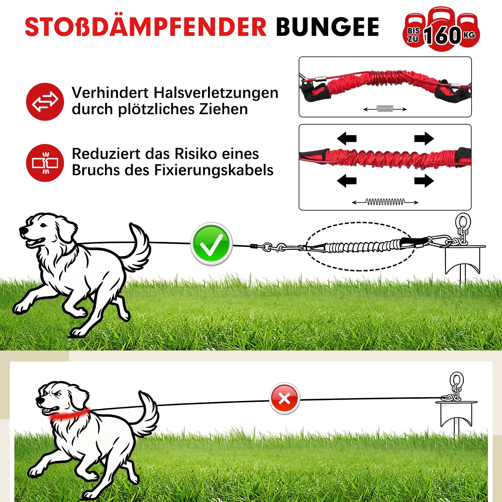 Snagle Paw Bodenanker für Hunde mit Lock-Cap, 6M Leine with Erdanker für Außen/Garten/Camping mit Stoßdämpfender Bungee-Leine, 360°drehbarer Rostfreier Bodenanker für Leinen, Ketten bis 360 lbs