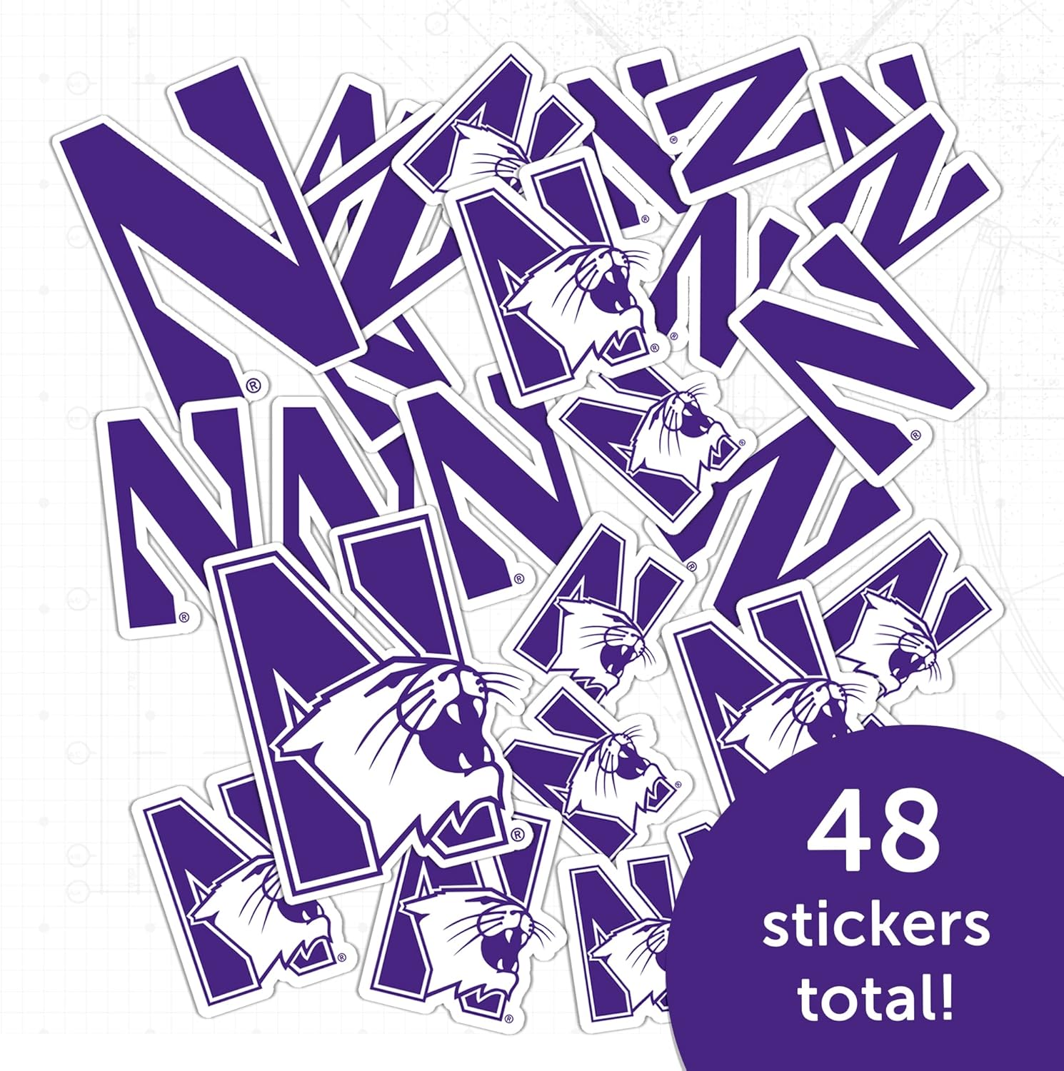 Desert Cactus Northwestern University Sticker Northwestern Wildcats Vinyl Decal Laptop Water Bottle Car Scrapbook Sheet (Type 1-1) - Image 5