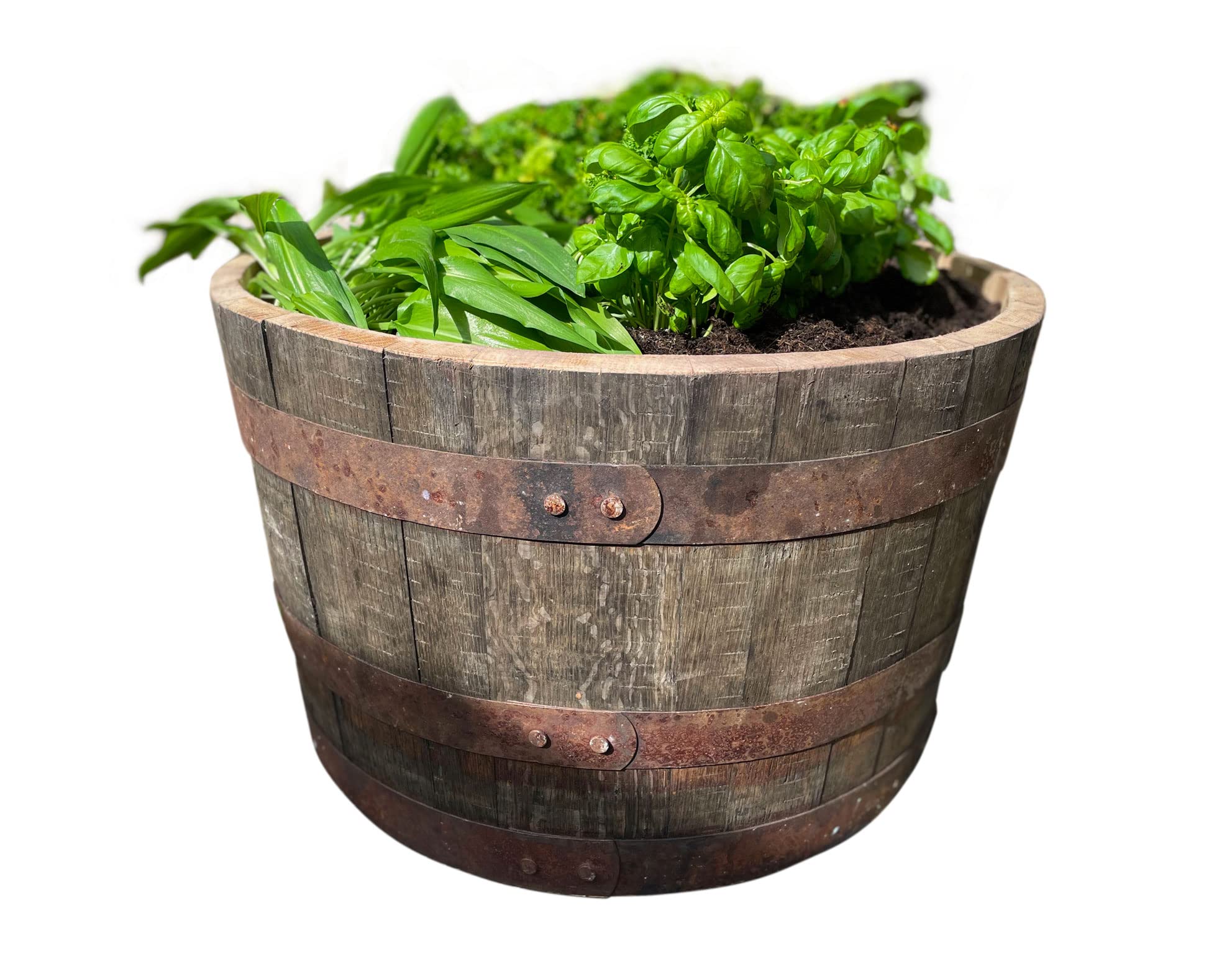 Temesso Demi-tonneau, Pot de Fleur Original d'un Baril à Whisky (Nature sans Extras)